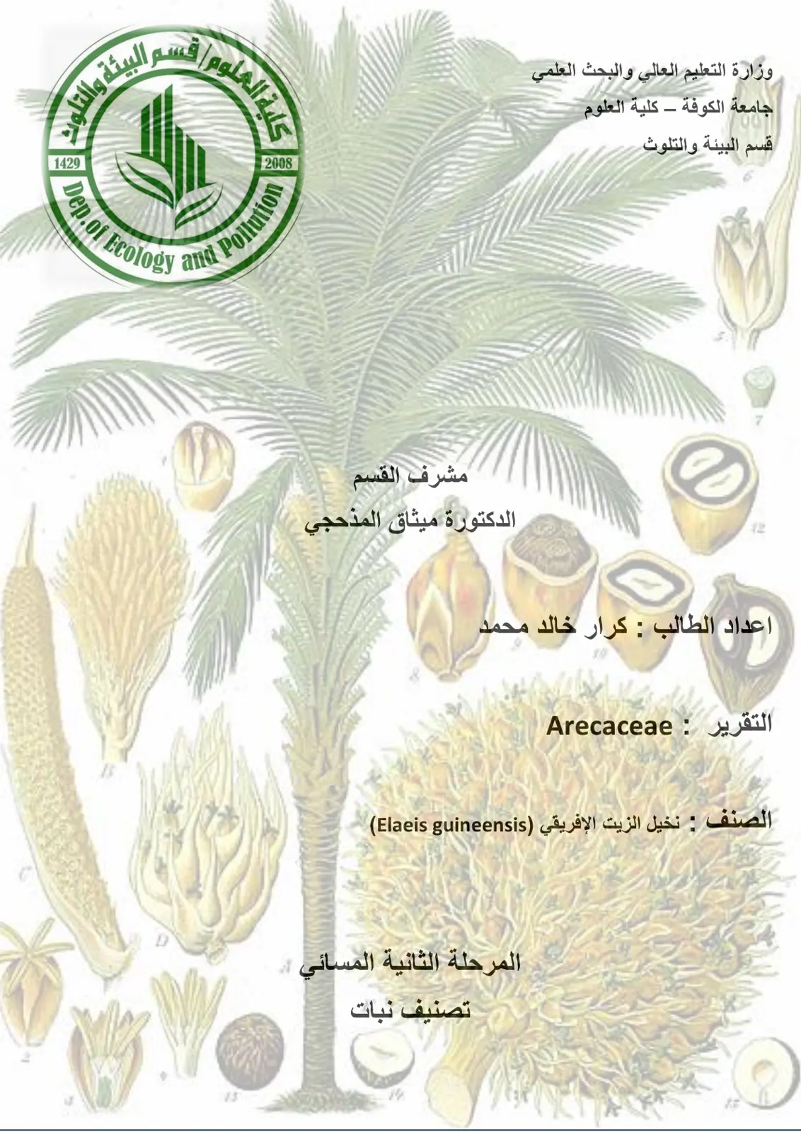 غلاف تقرير Arecaceae