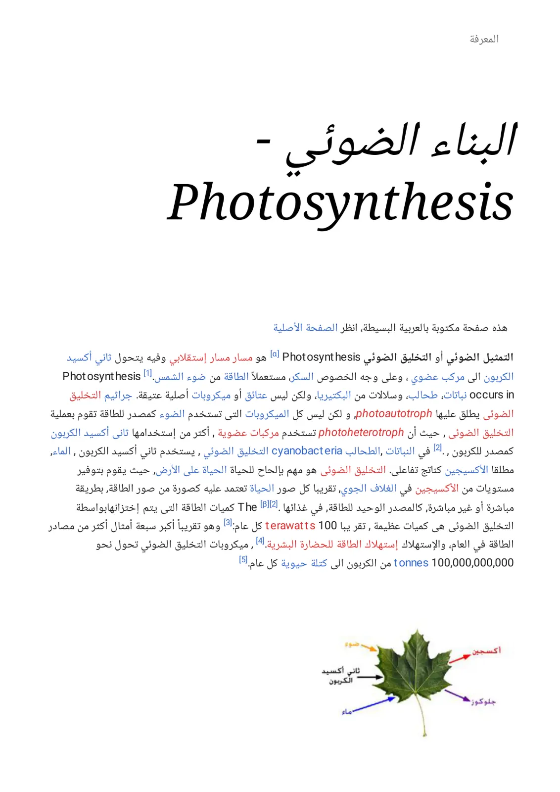 غلاف تقرير البناء الضوئي - Photosynthesis