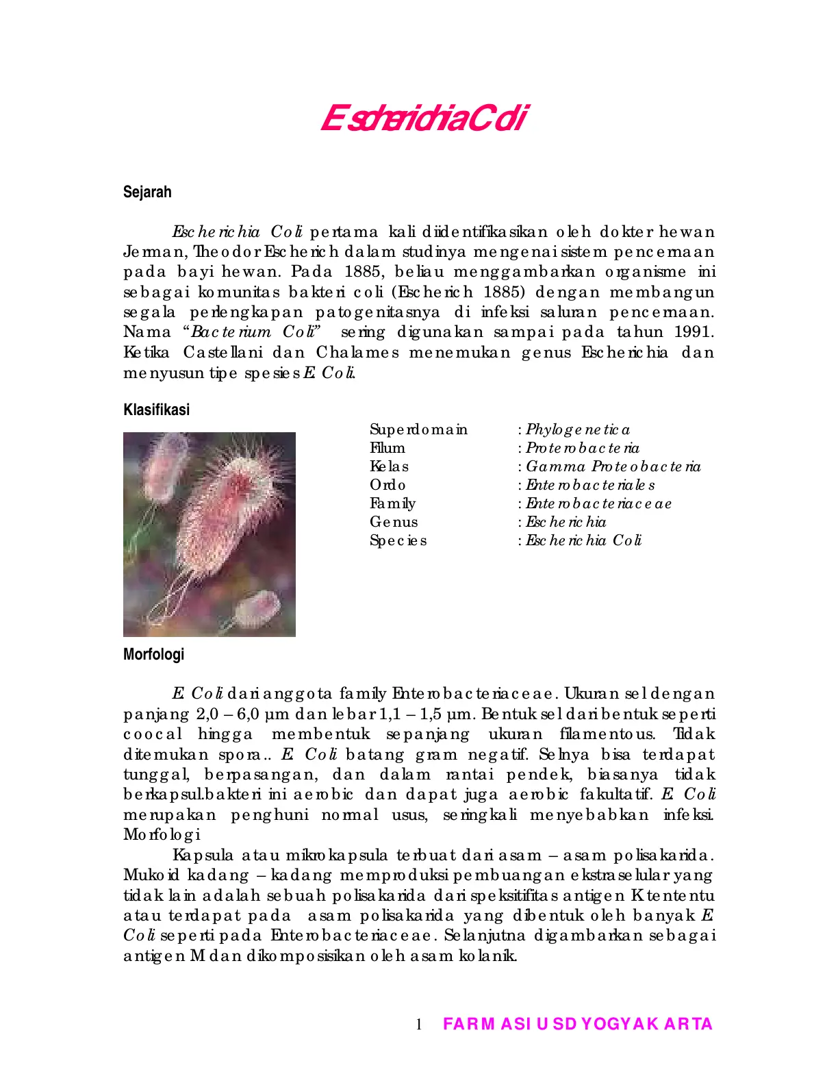 غلاف تقرير Sejarah Escherichia Coli