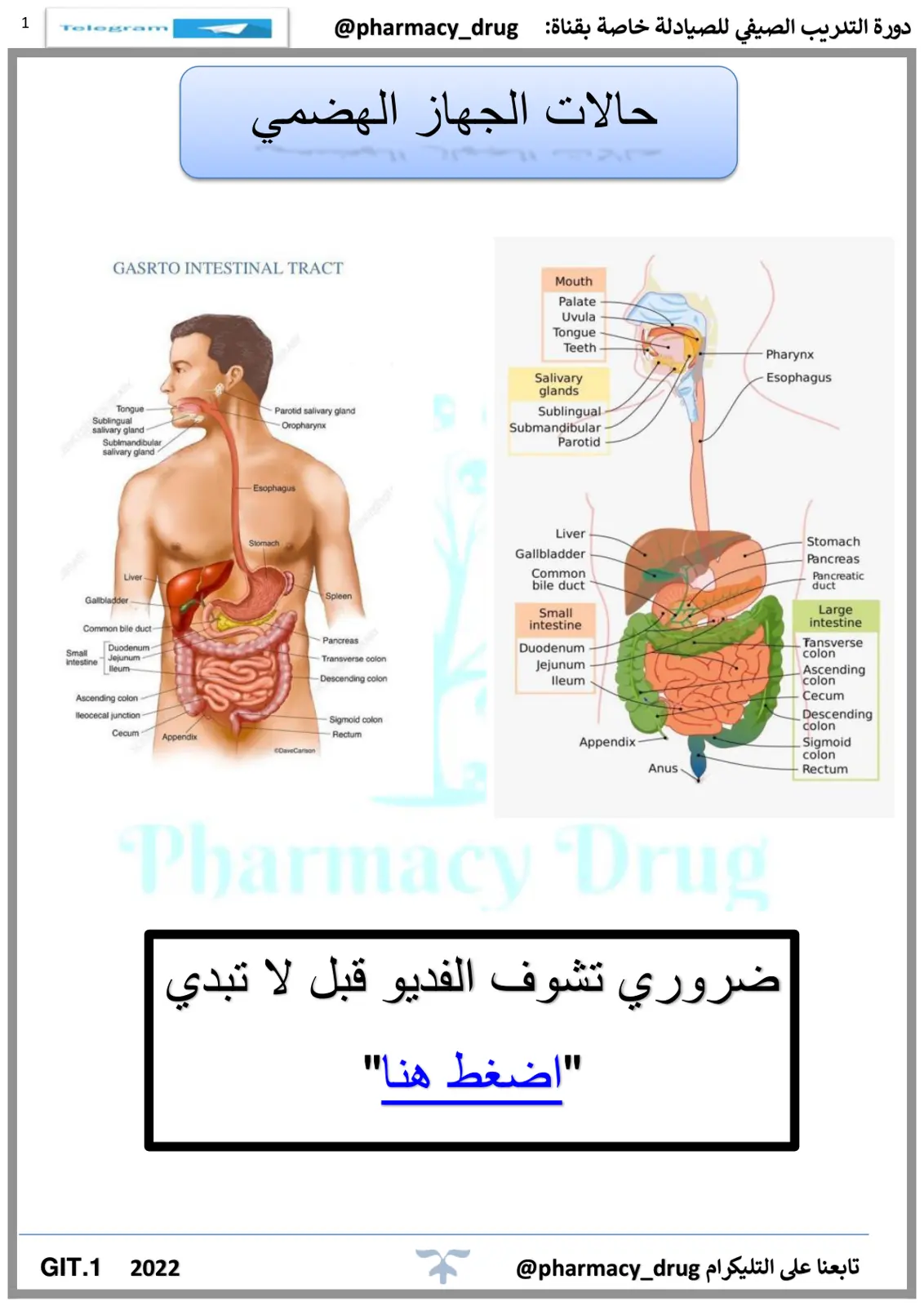 غلاف تقرير حالات الجهاز الهضمي GASTRO INTESTINAL TRACT
