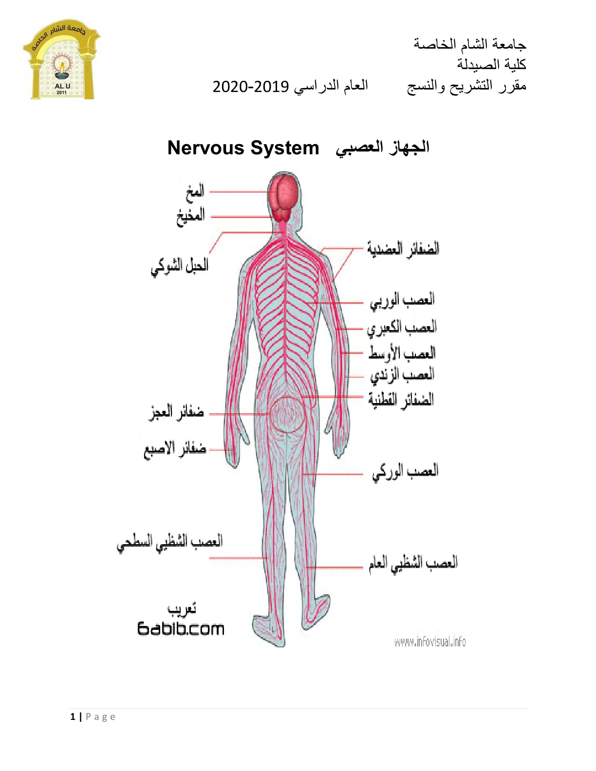 غلاف تقرير الجهاز العصبي Nervous System
