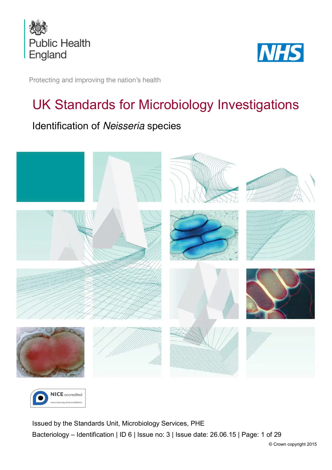 غلاف تقرير UK Standards for Microbiology Investigations Identification of Neisseria species