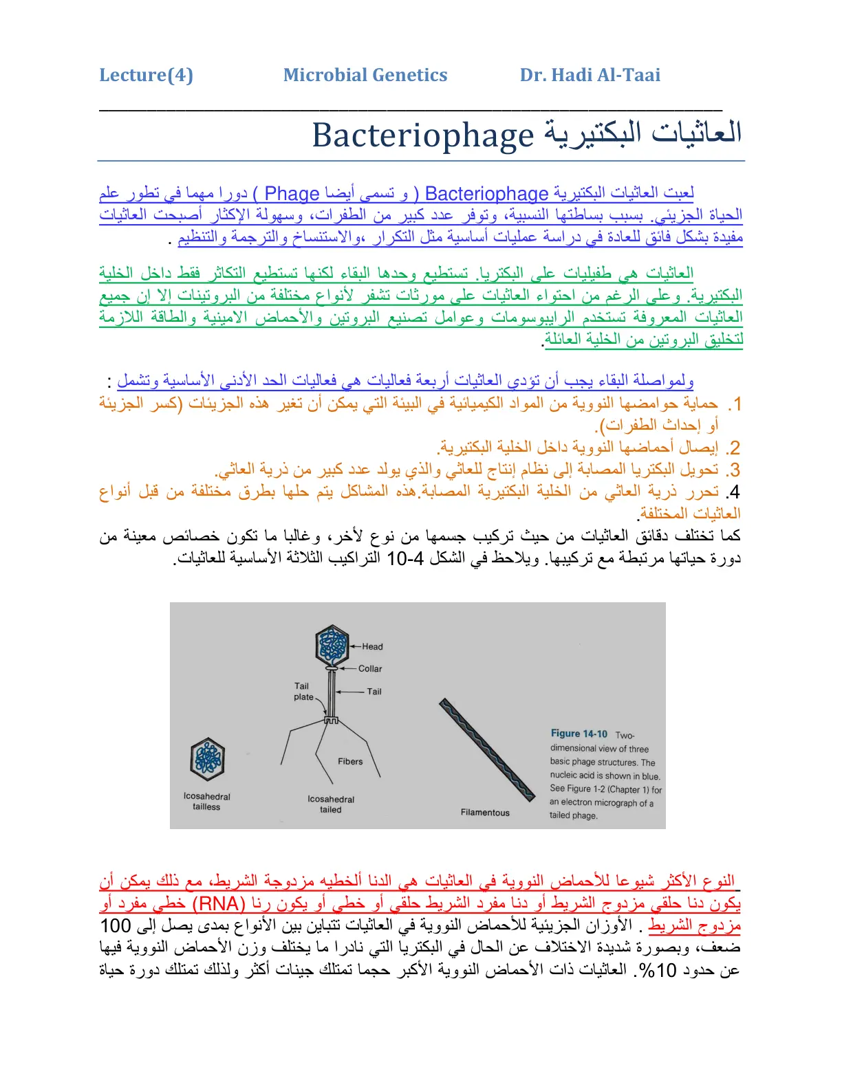 غلاف تقرير العاثيات البكتيرية Bacteriophage