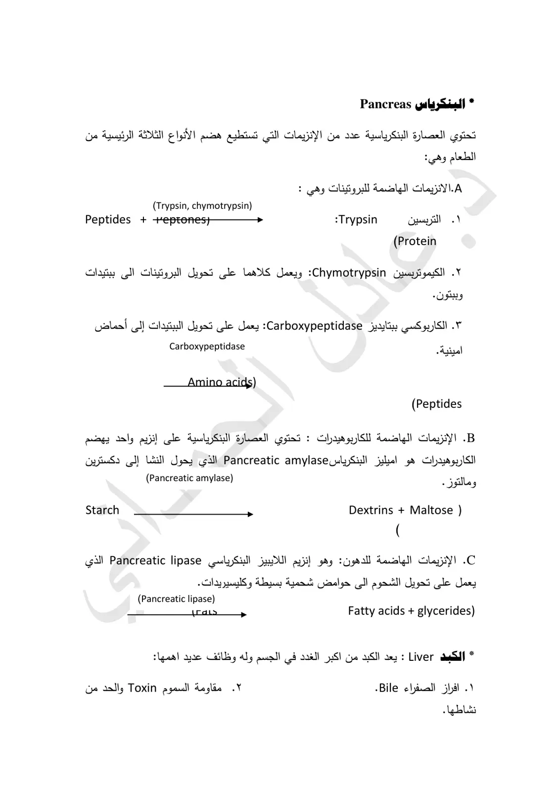 غلاف تقرير البنكرياس Pancreas