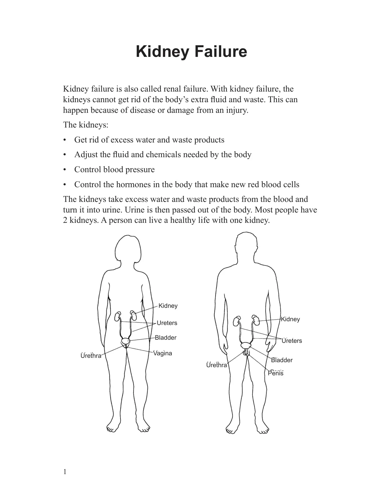 غلاف تقرير Kidney Failure