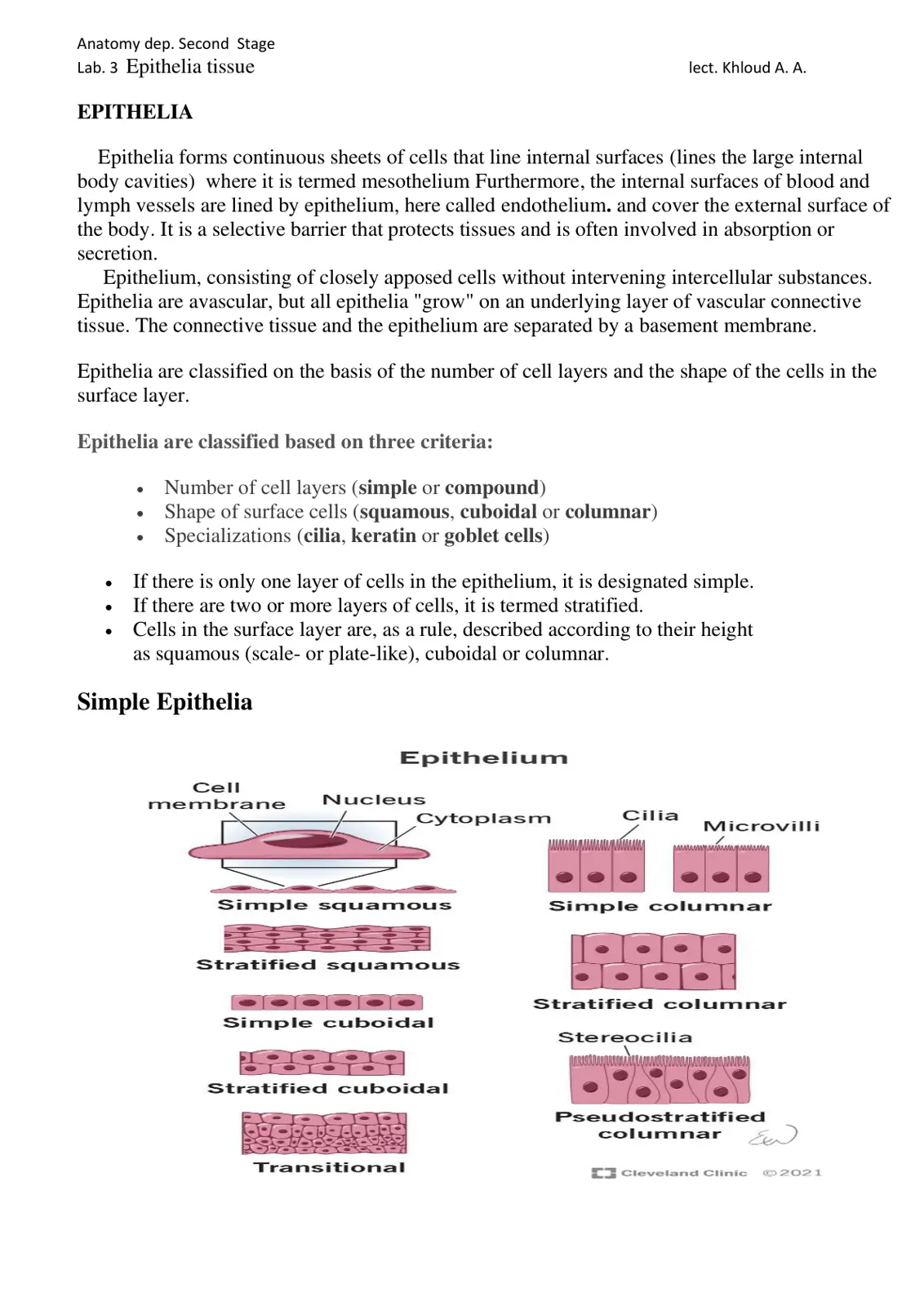 غلاف تقرير Lab. 3 Epithelia tissue