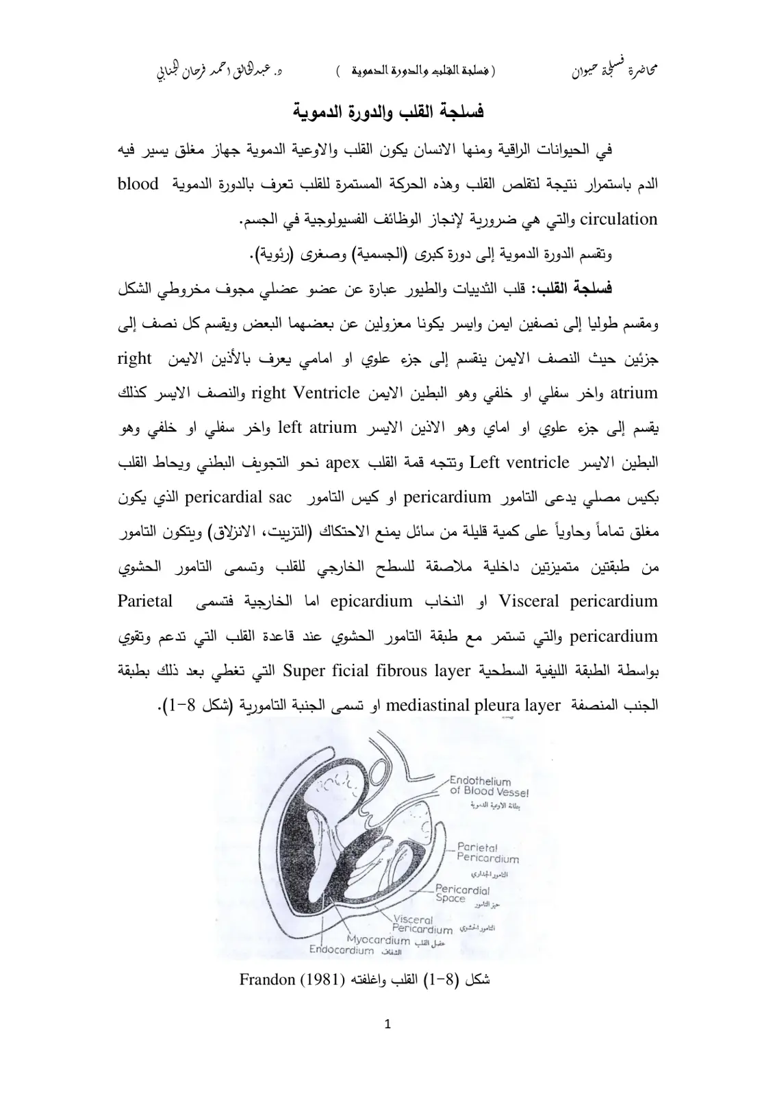 غلاف تقرير فسلجة القلب والدورة الدموية - محاضرة فسلجة حيوان