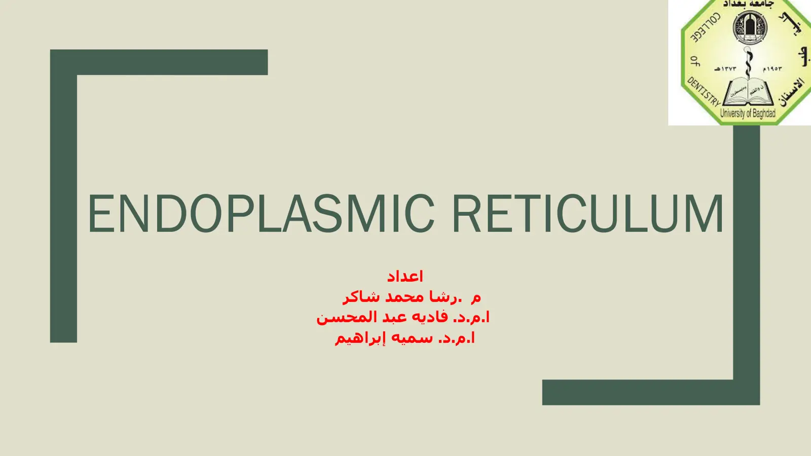 غلاف تقرير ENDOPLASMIC RETICULUM - طب الأسنان