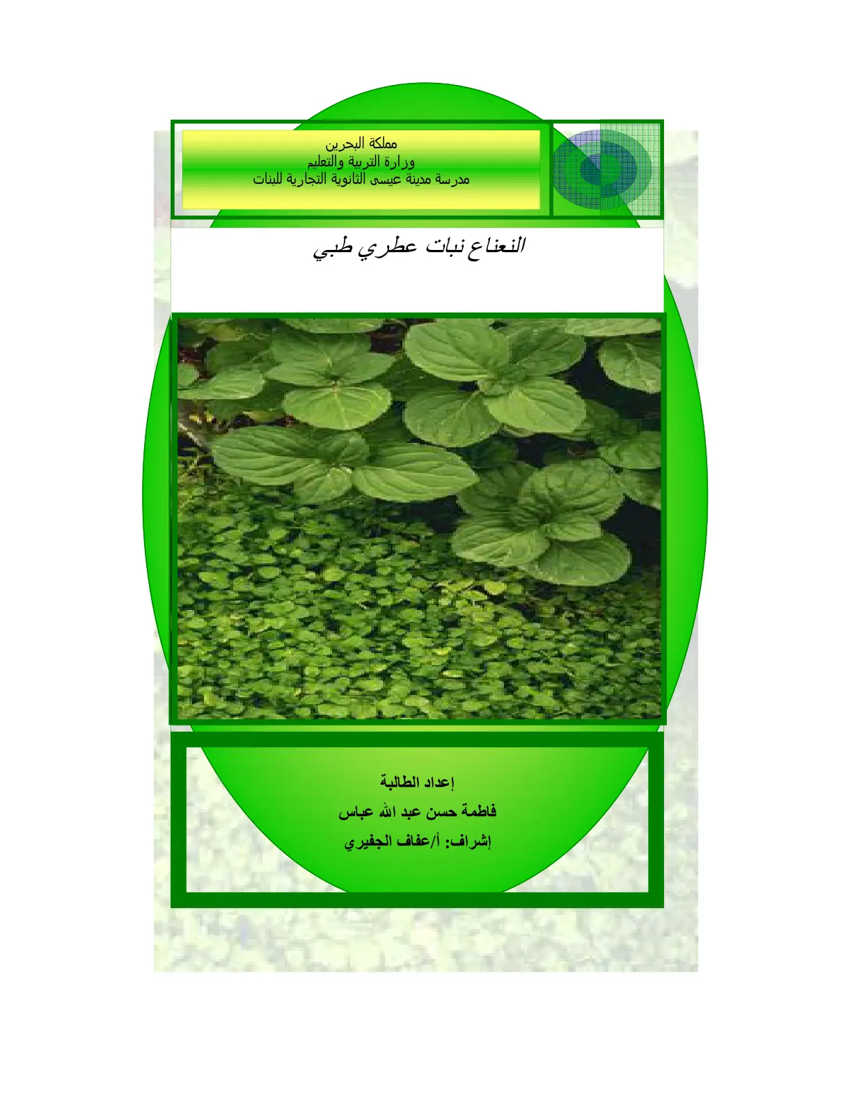 غلاف تقرير النعناع نبات عطري طبي