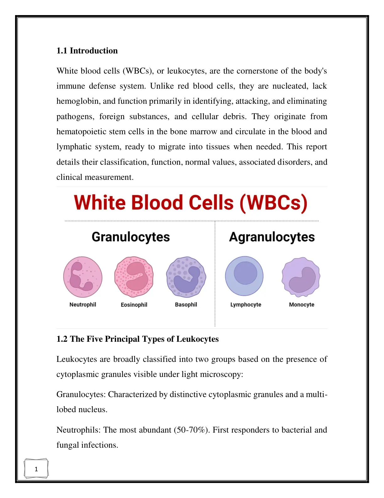 غلاف تقرير White Blood Cells (WBCs)