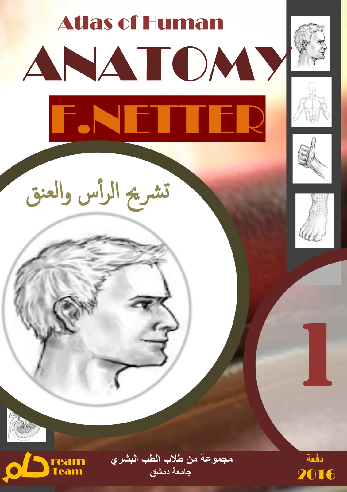 غلاف تقرير Atlas of Human ANATOMY تشريح الرأس والعنق
