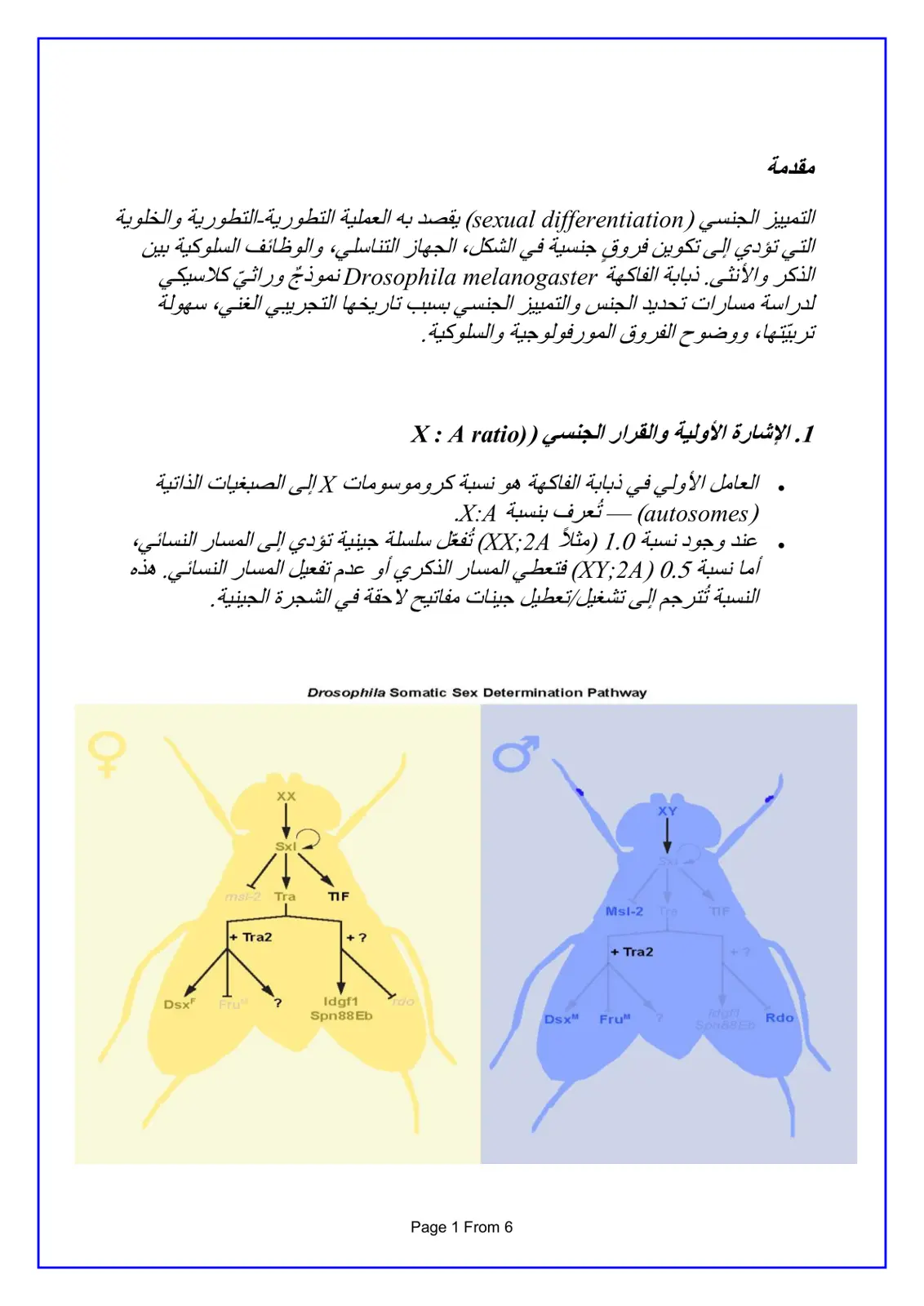 غلاف تقرير التمييز الجنسي