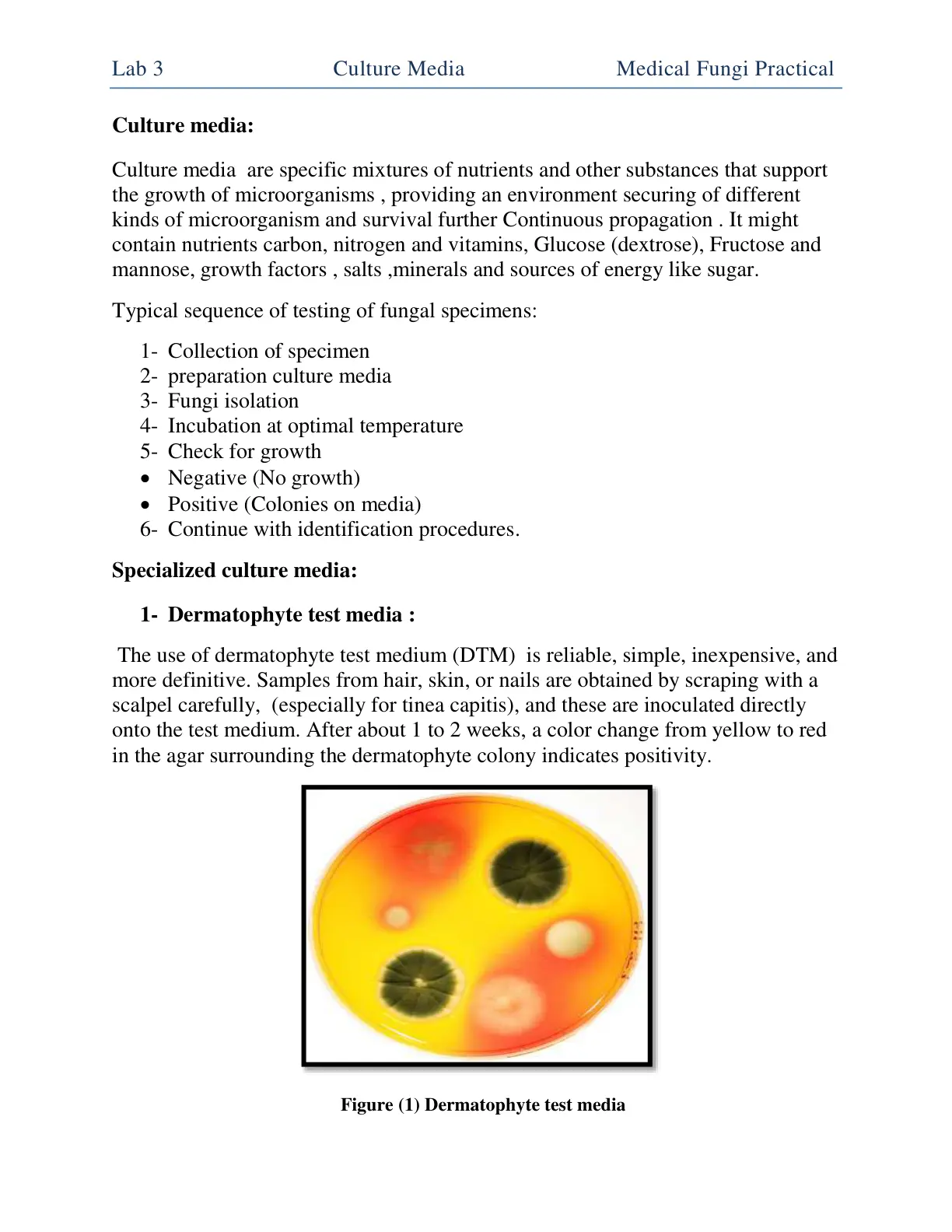 غلاف تقرير Culture Media - Medical Fungi Practical
