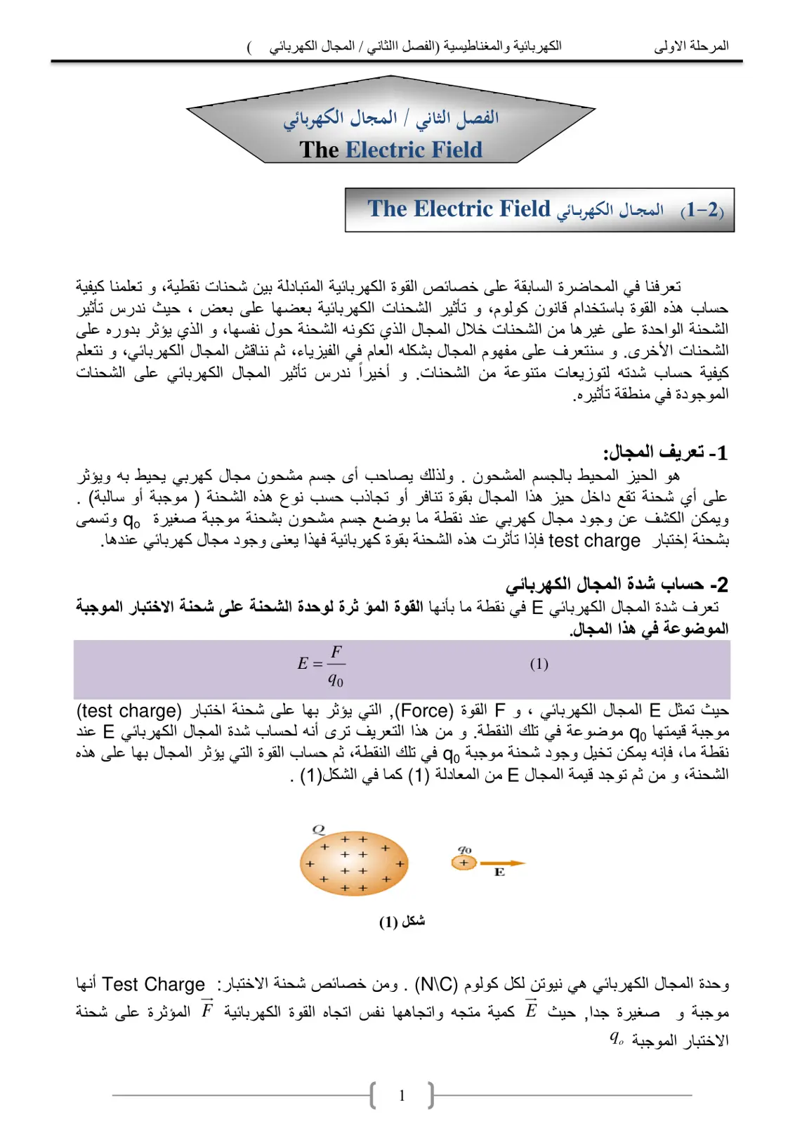 غلاف تقرير المجال الكهربائي The Electric Field