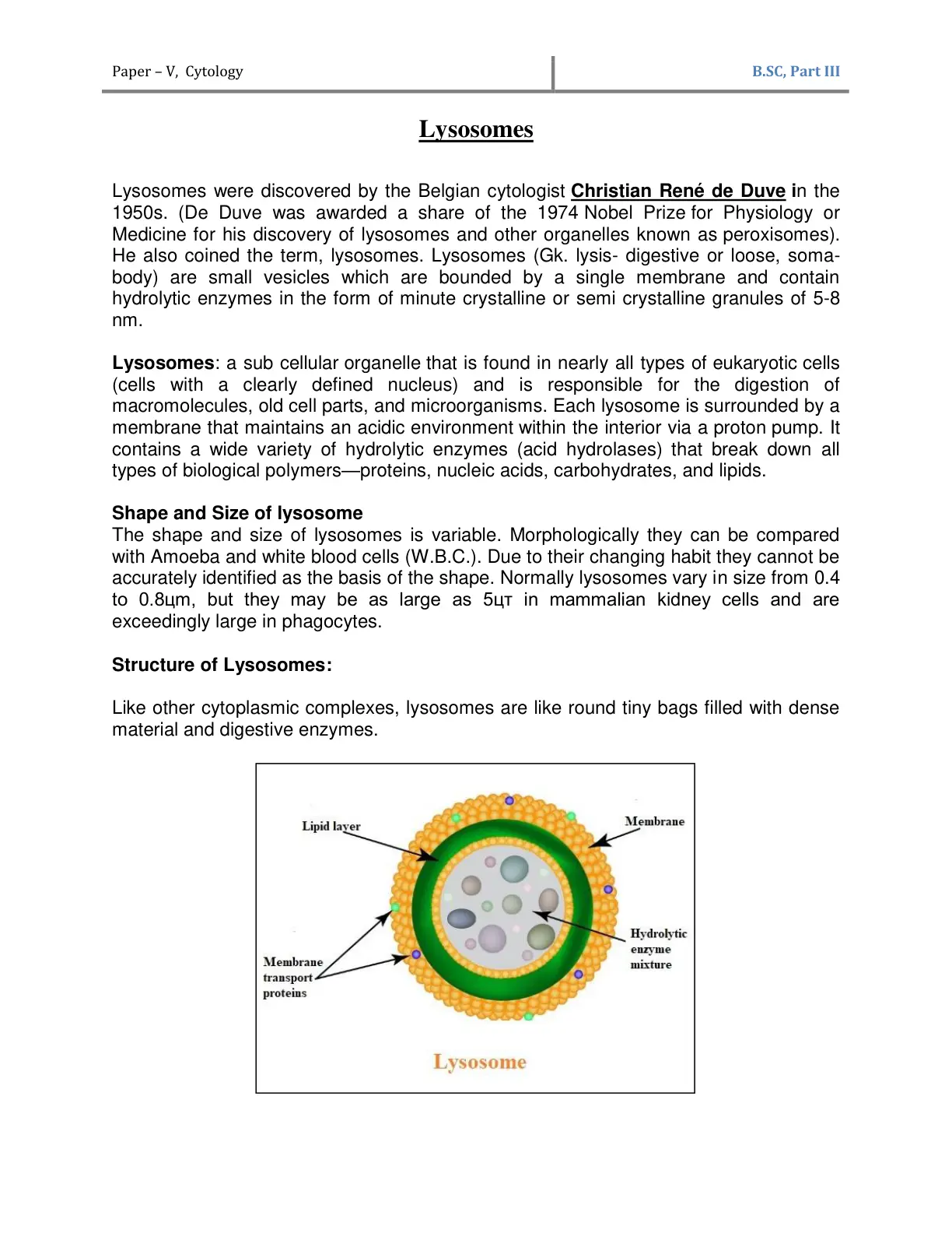 غلاف تقرير Cytology Lysosomes