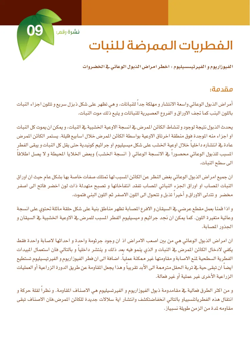 غلاف تقرير الفطريات الممرضة للنبات: الفيوزاريوم والفيرتيسيليوم أخطر أمراض الذبول الوعائي في الخضروات