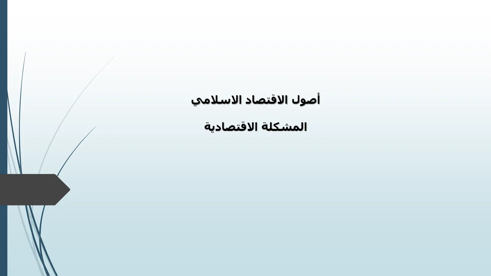 غلاف تقرير أصول الاقتصاد الإسلامي - المشكلة الاقتصادية