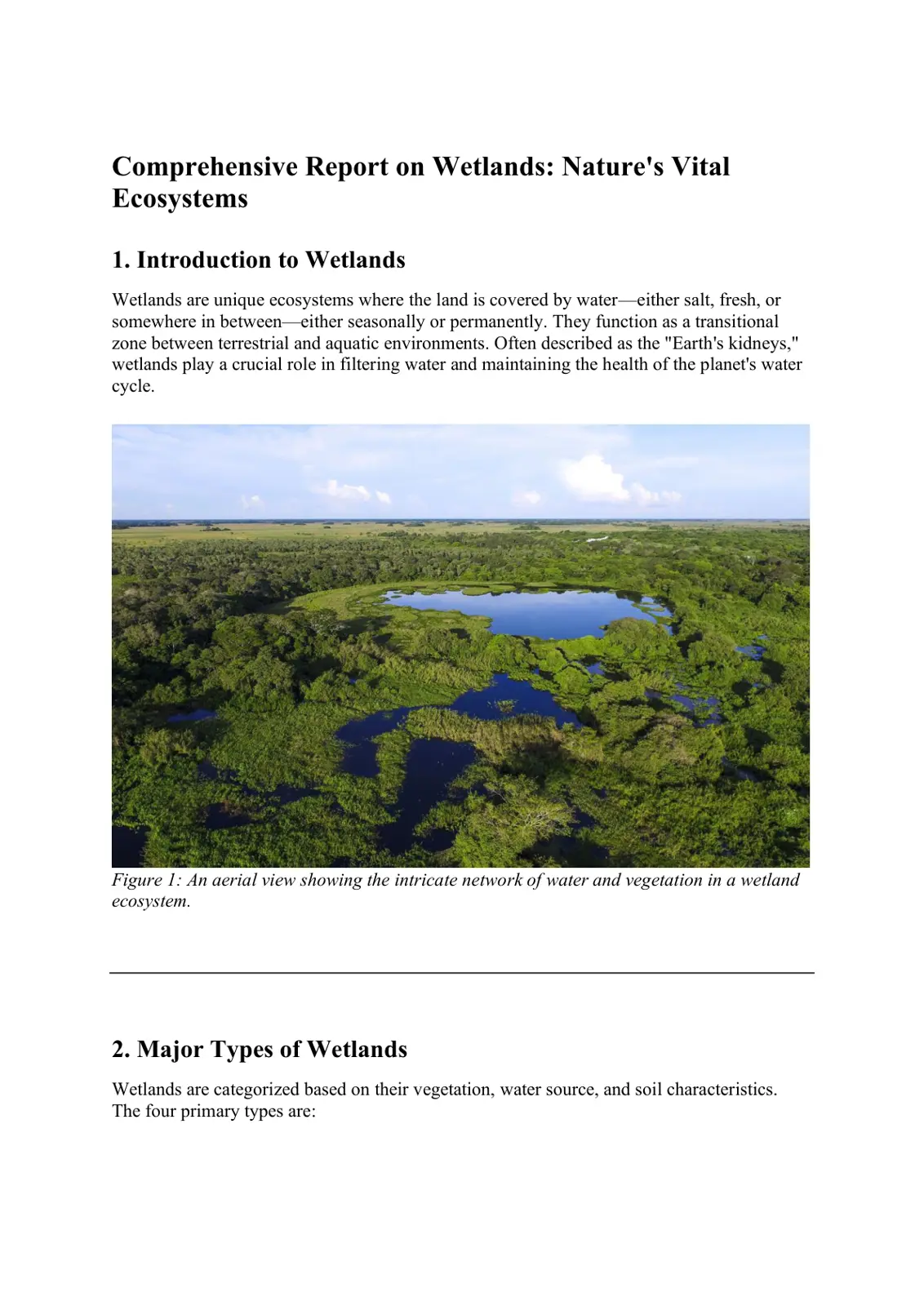 غلاف تقرير Comprehensive Report on Wetlands: Nature's Vital Ecosystems