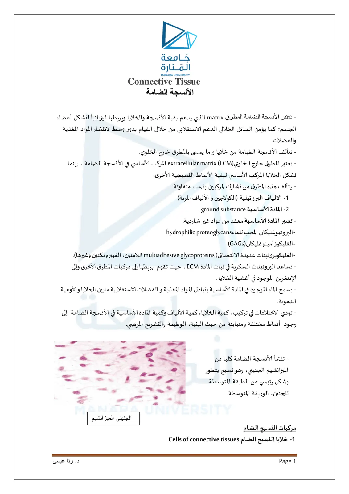 غلاف تقرير Connective Tissue الأنسجة الضامة