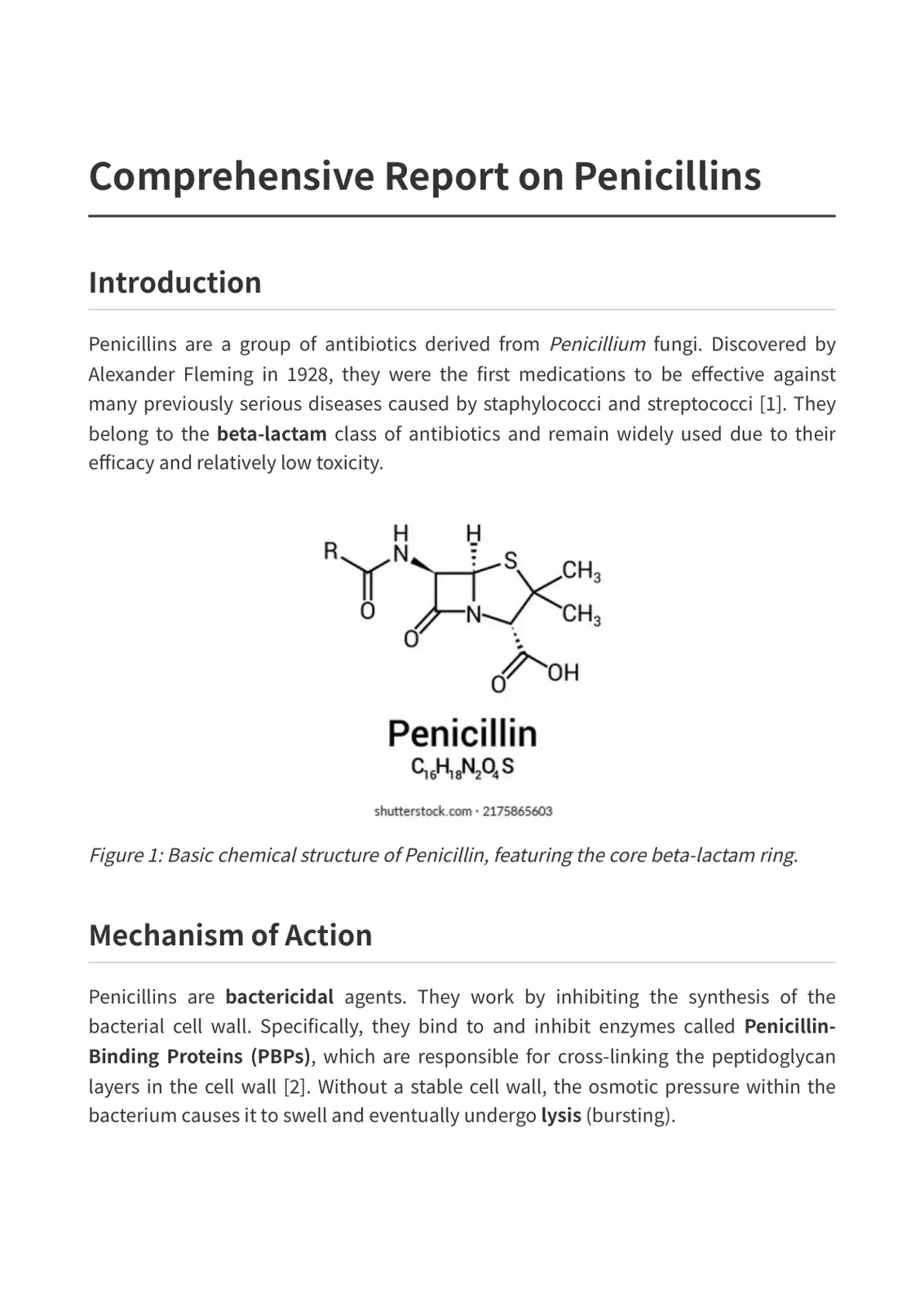 غلاف تقرير Comprehensive Report on Penicillins