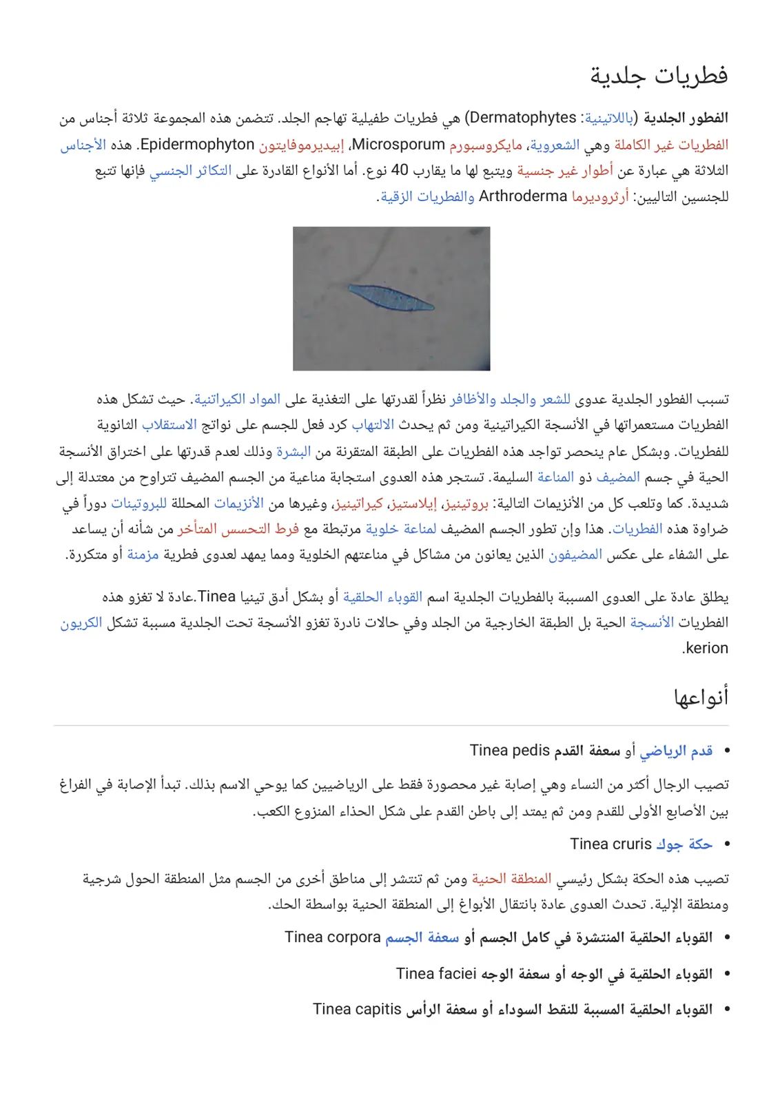 غلاف تقرير فطريات جلدية