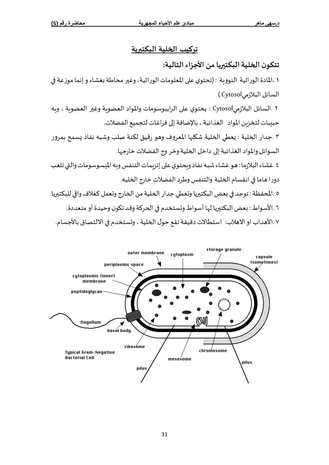 غلاف تقرير مبادئ علم الأحياء المجهرية: محاضرة رقم (5) - تركيب الخلية البكتيرية