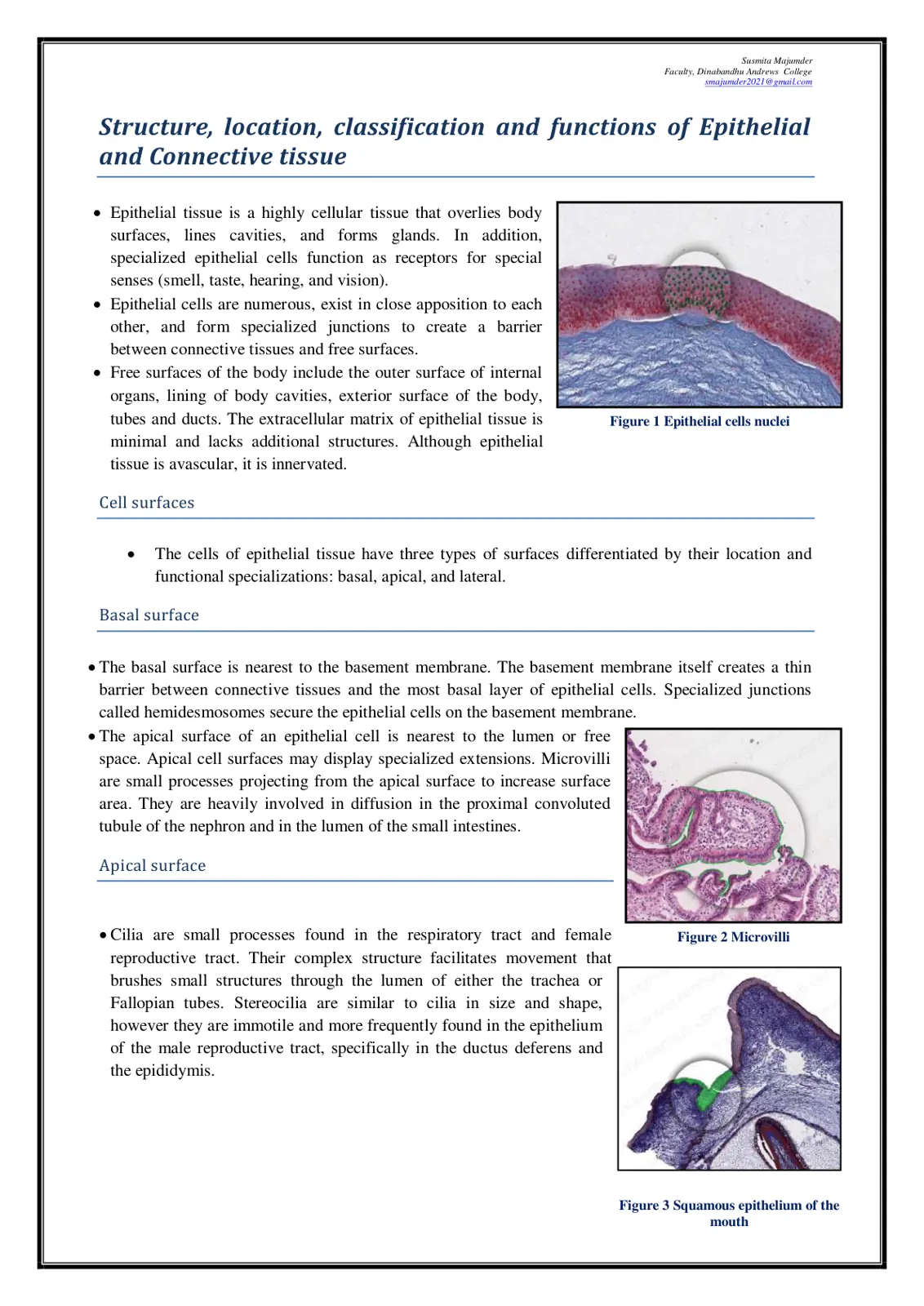 غلاف تقرير Structure, Location, Classification and Functions of Epithelial and Connective Tissue