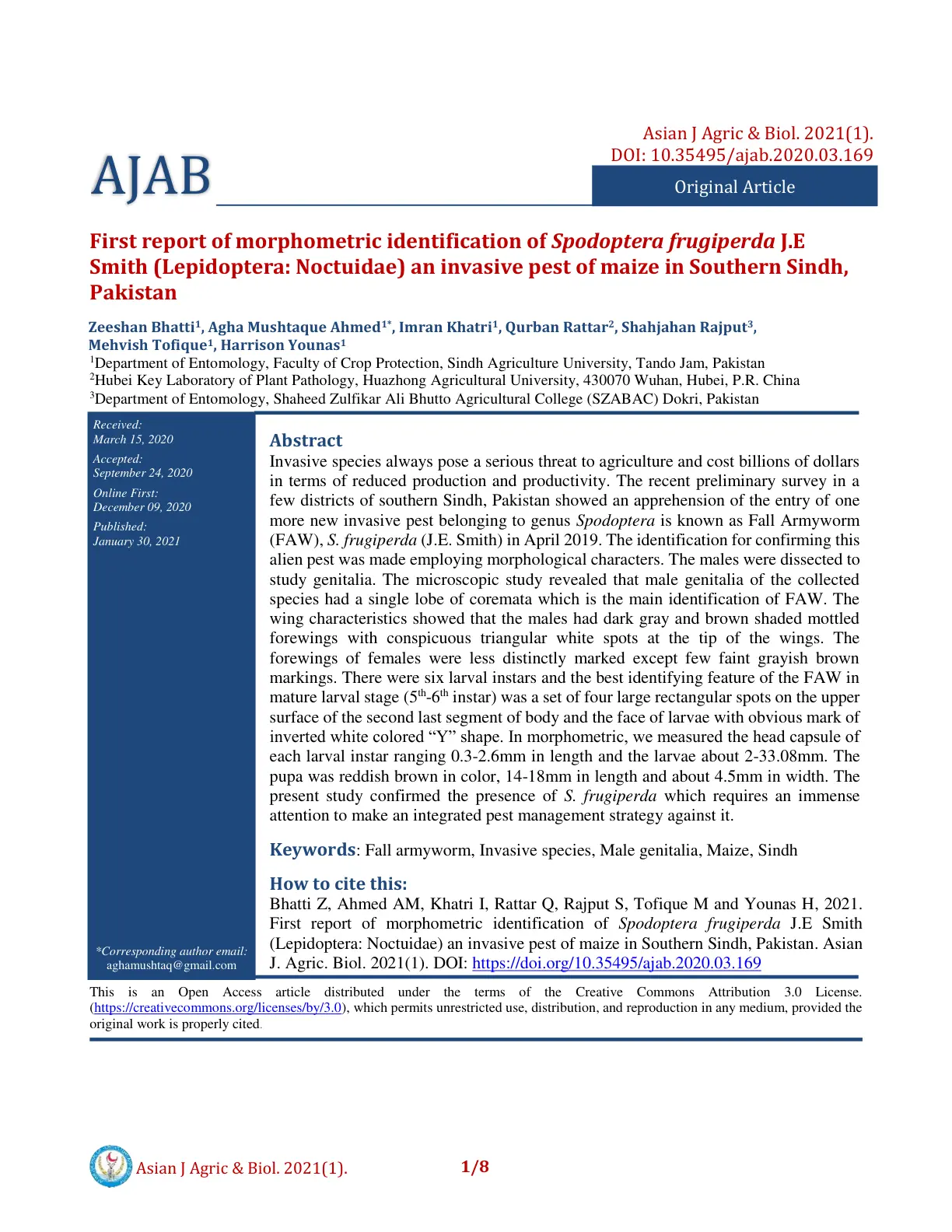 غلاف تقرير First report of morphometric identification of Spodoptera frugiperda J.E Smith (Lepidoptera: Noctuidae) an invasive pest of maize in Southern Sindh, Pakistan