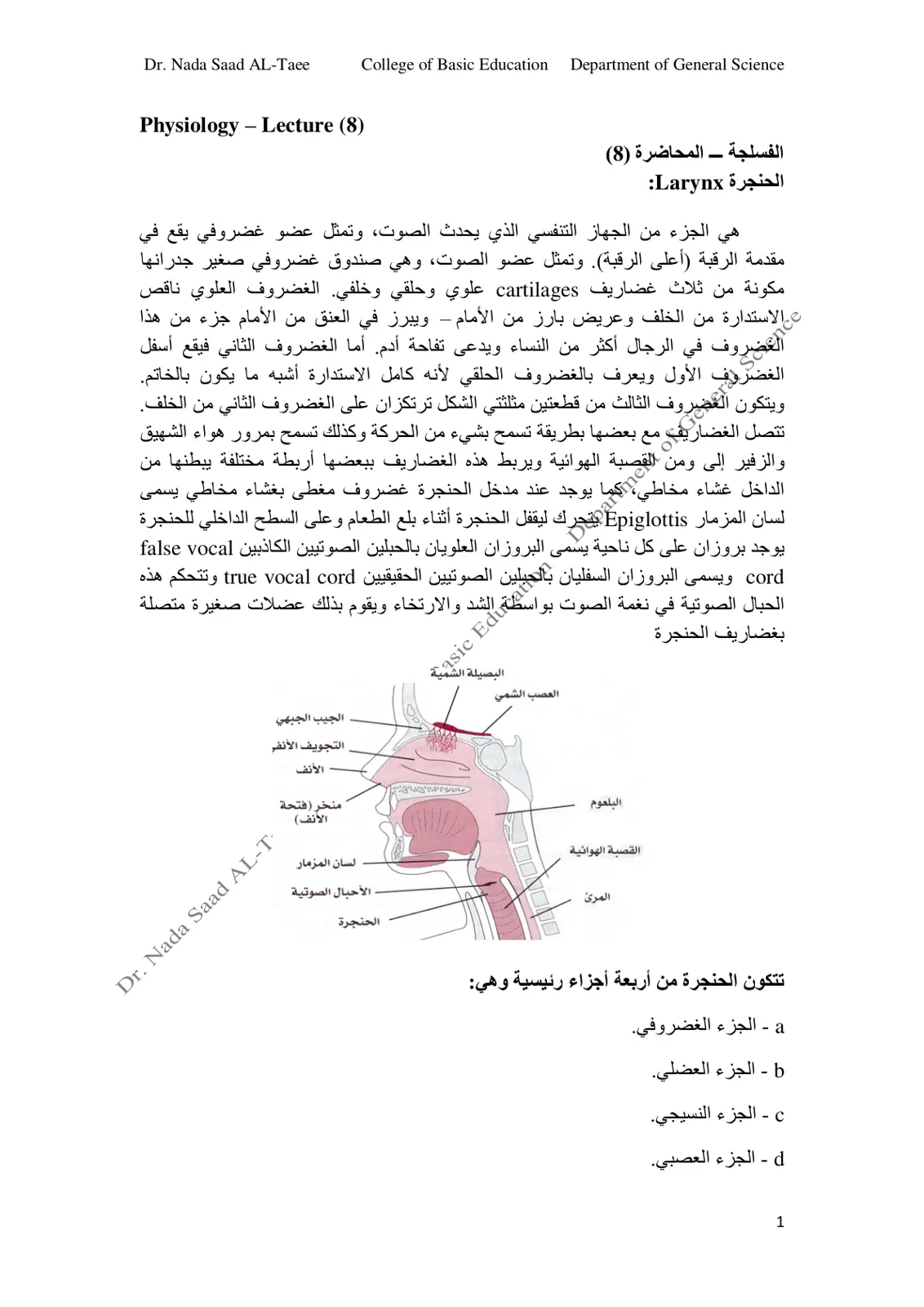 غلاف تقرير الفسلجة - المحاضرة (8) - الحنجرة Larynx