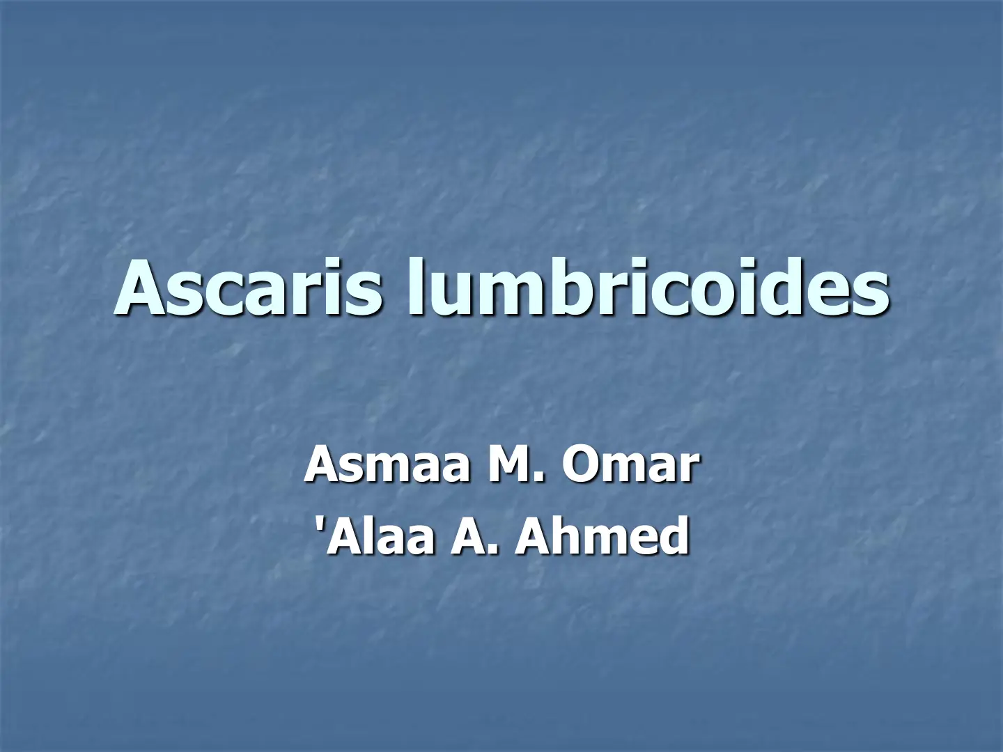 غلاف تقرير Ascaris lumbricoides