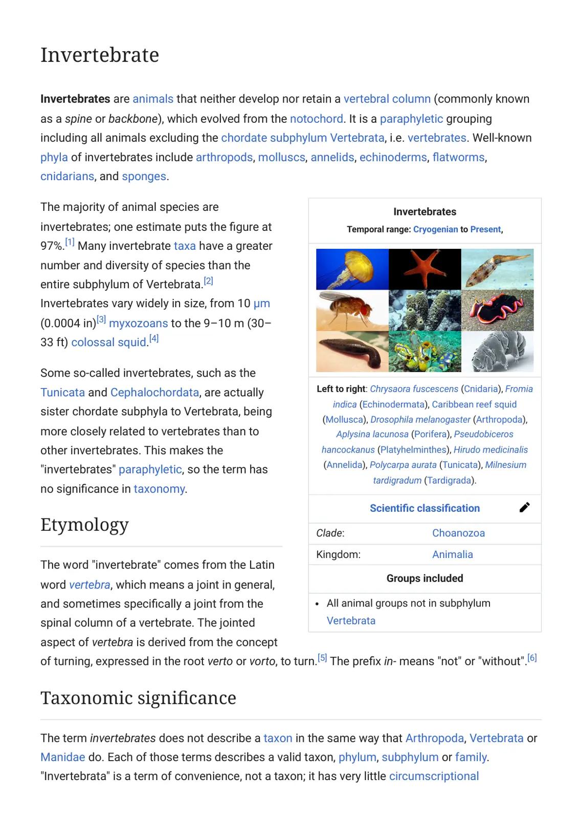 غلاف تقرير Invertebrate