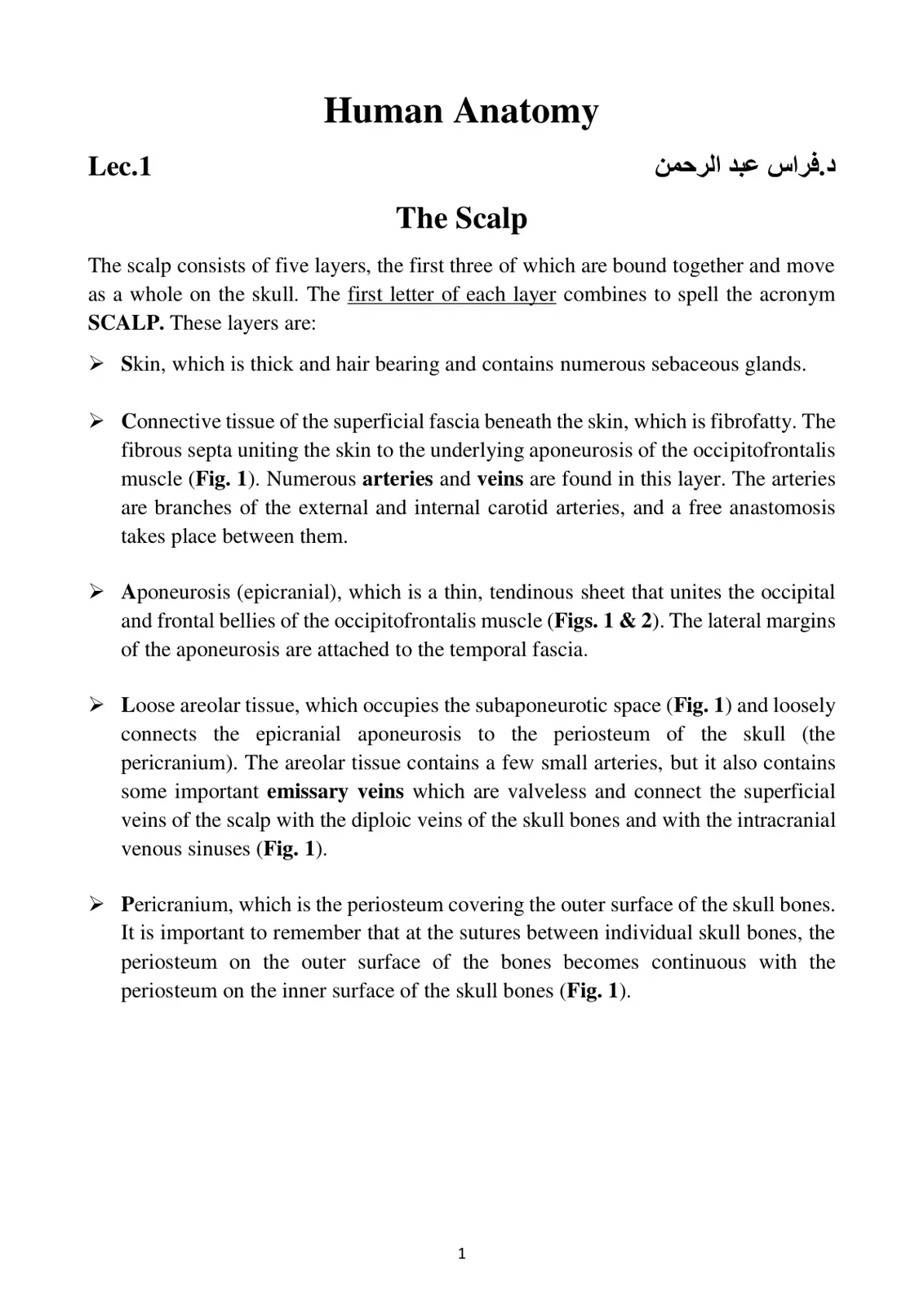 غلاف تقرير Lec.1 Human Anatomy The Scalp