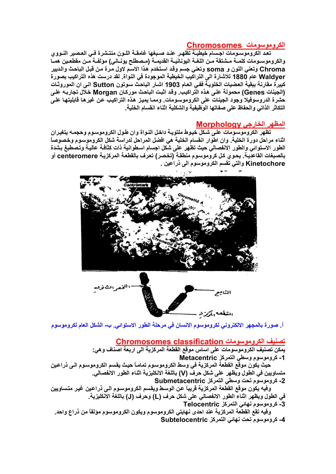 غلاف تقرير الكروموسومات Chromosomes