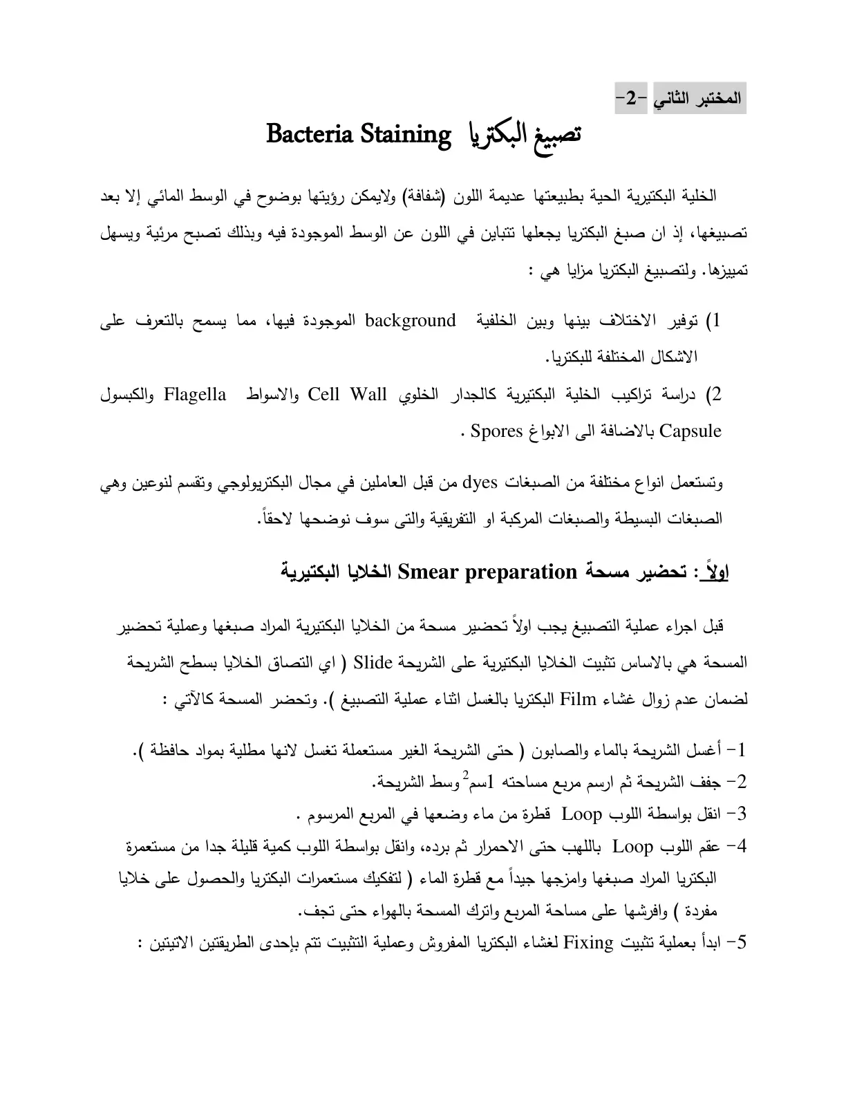 غلاف تقرير المختبر الثاني – تصبيغ البكتيريا Bacteria Staining