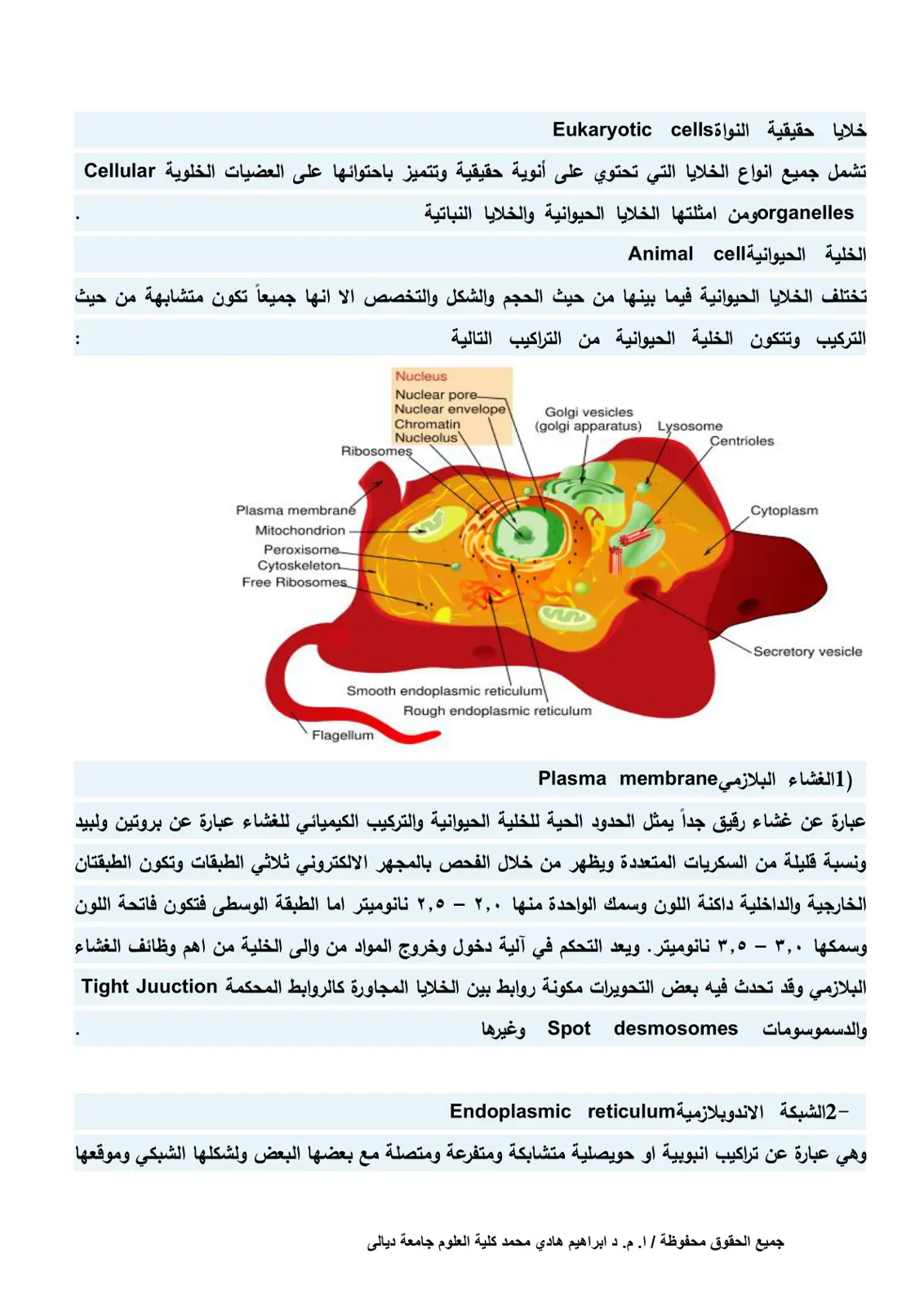 غلاف تقرير خلايا حقيقية النواة Eukaryotic cells