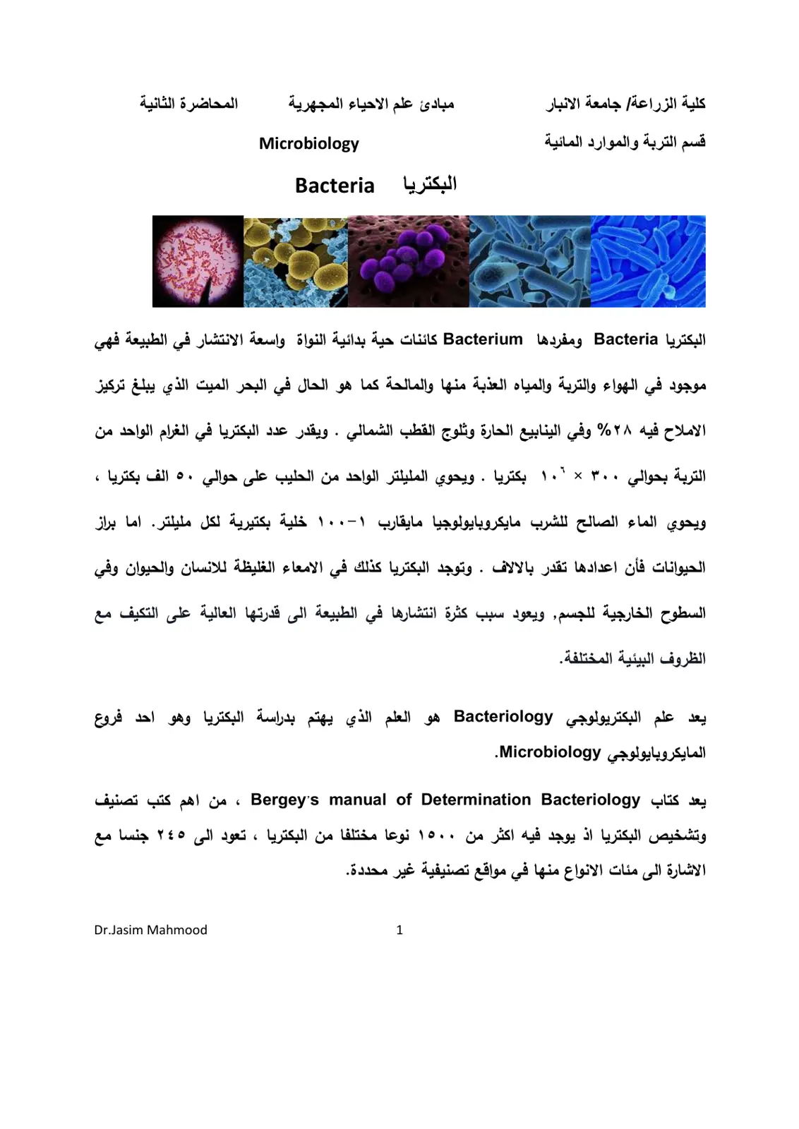 غلاف تقرير المحاضرة الثانية البكتريا Microbiology Bacteria