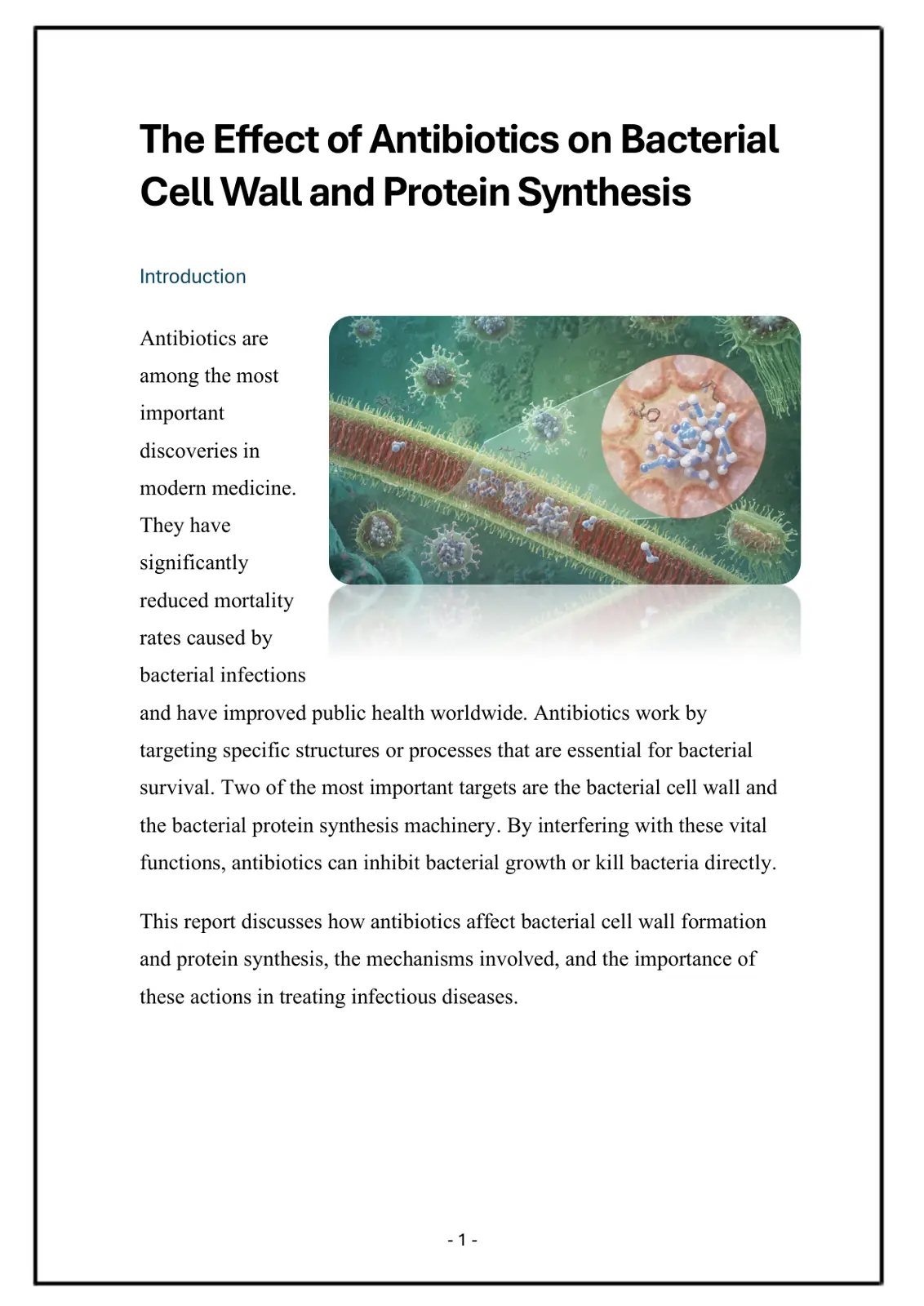 غلاف تقرير تأثير المضادات الحيوية على Formation of Bacterial Cell Wall و Protein Synthesis
