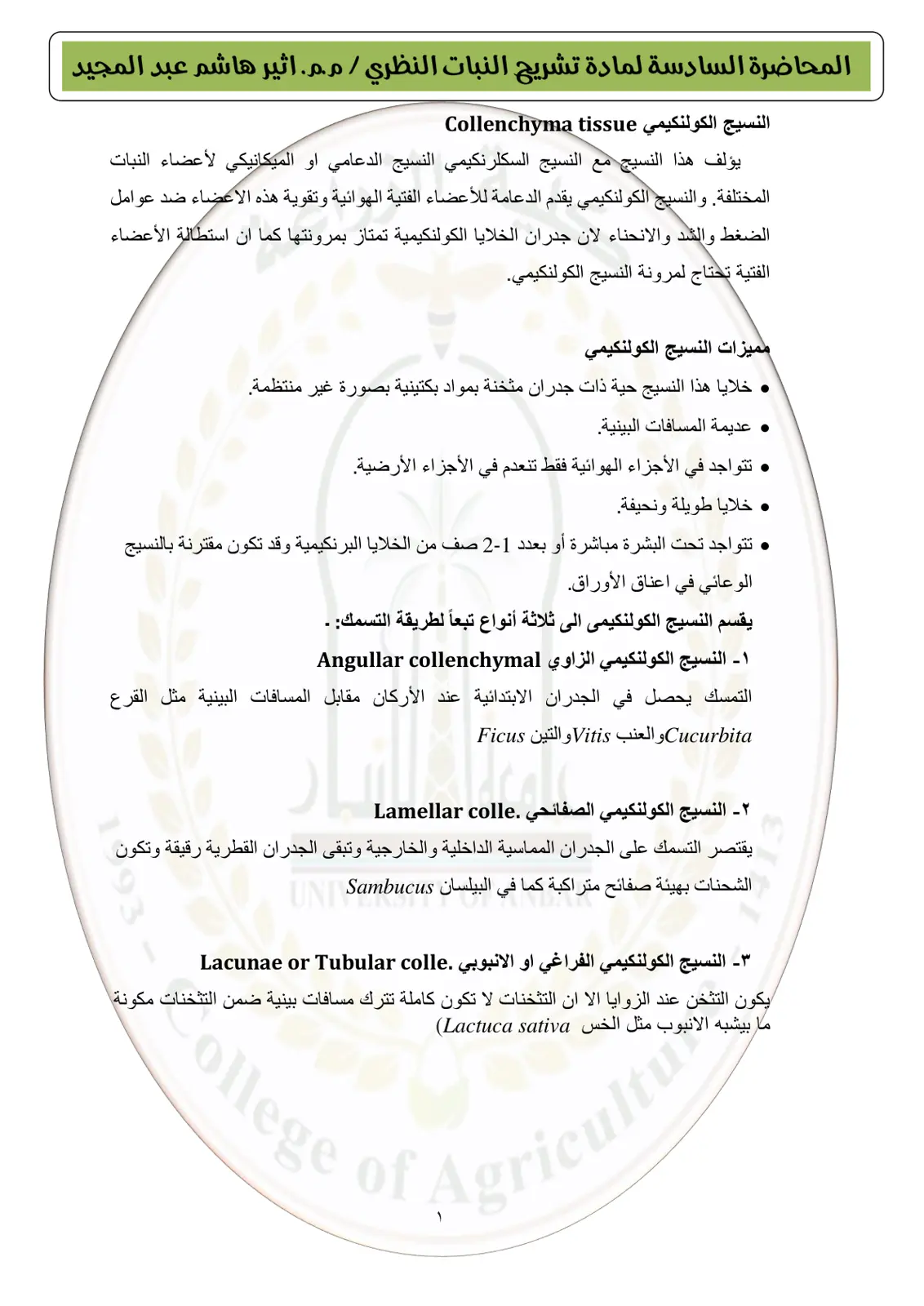 غلاف تقرير المحاضرة السادسة لمادة تشريح النبات النظري