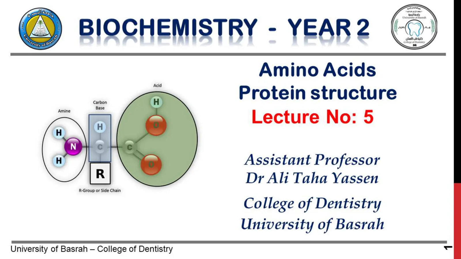 غلاف تقرير BIOCHEMISTRY - YEAR 2 Amino Acids Protein structure