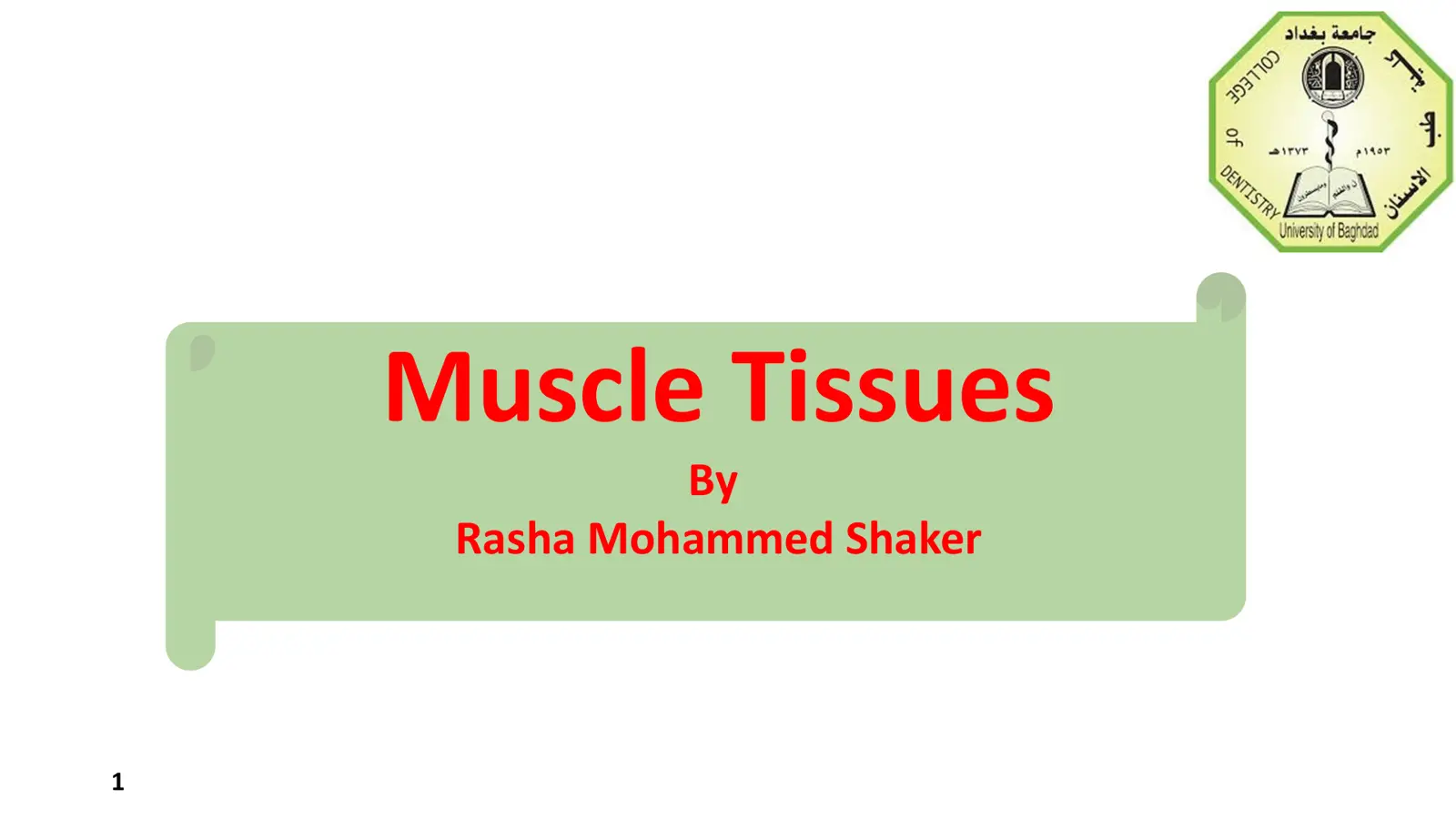 غلاف تقرير Muscle Tissues