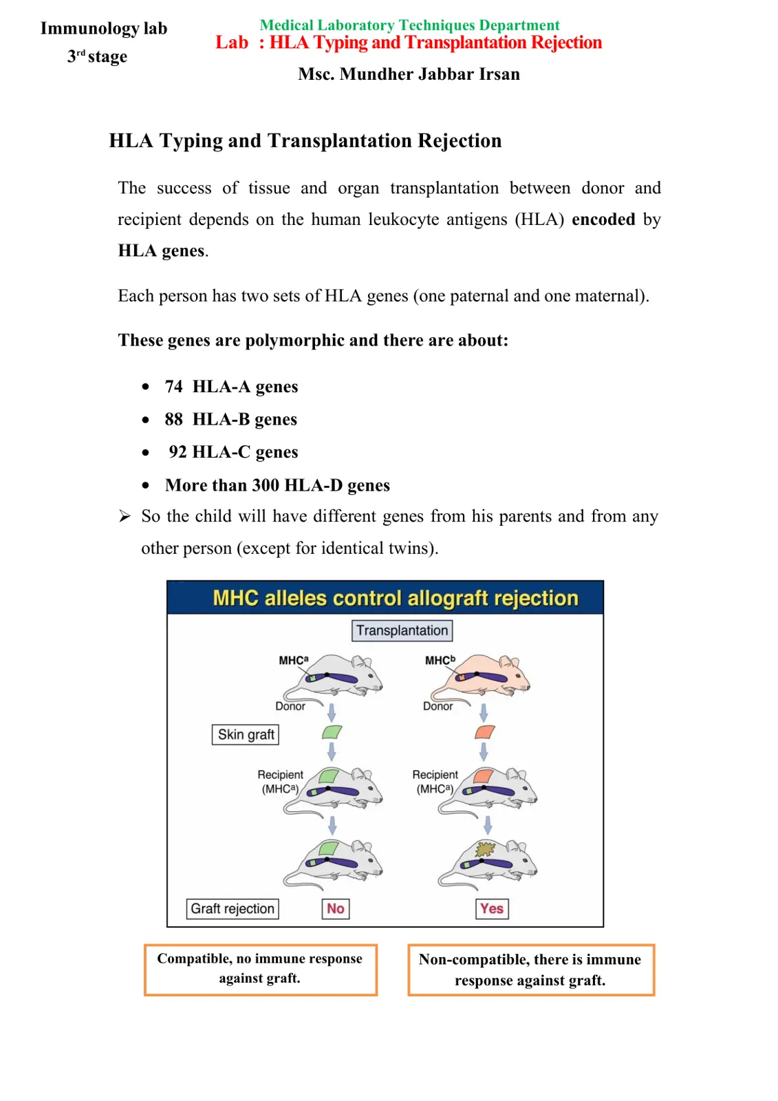 غلاف تقرير Immunology lab - HLA Typing and Transplantation Rejection