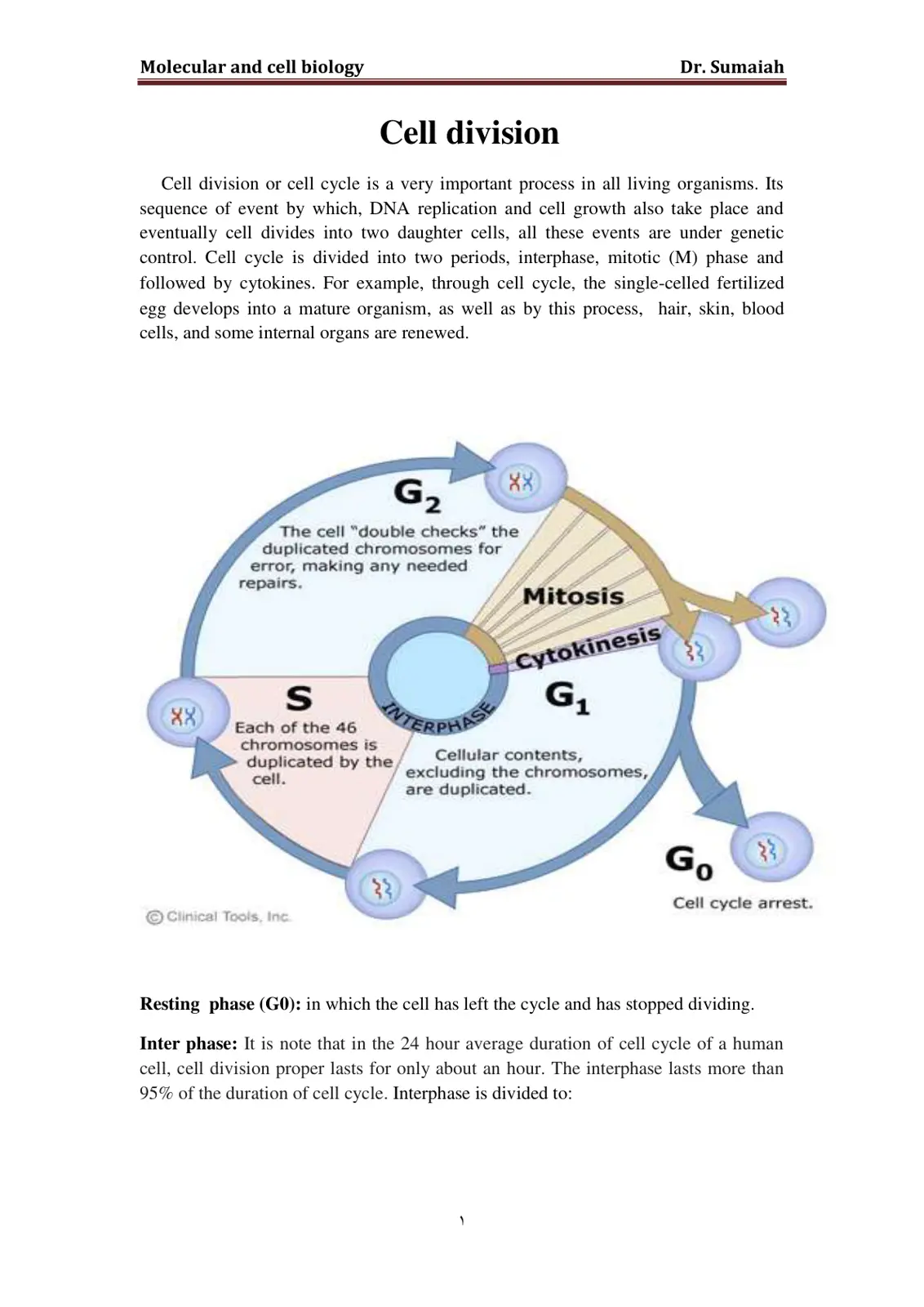 غلاف تقرير Molecular and Cell Biology: Cell Division