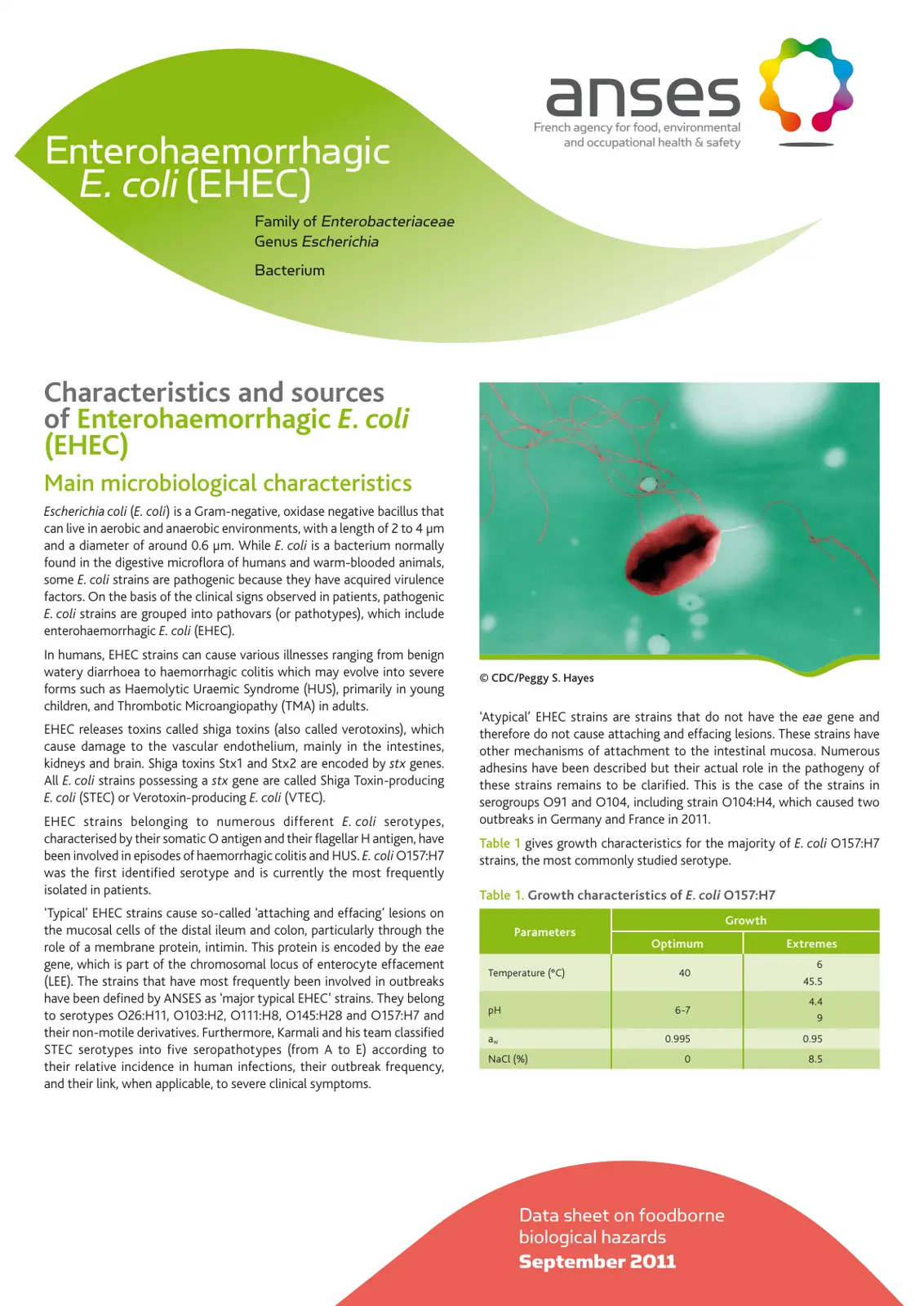 غلاف تقرير Enterohaemorrhagic E. coli (EHEC)