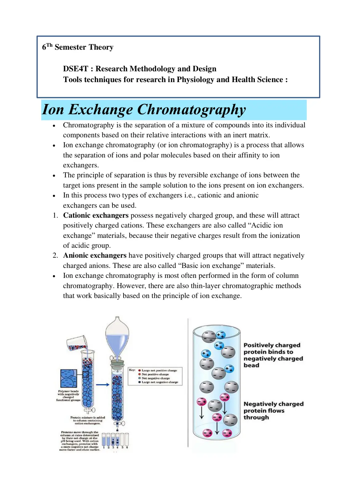 غلاف تقرير Ion Exchange Chromatography