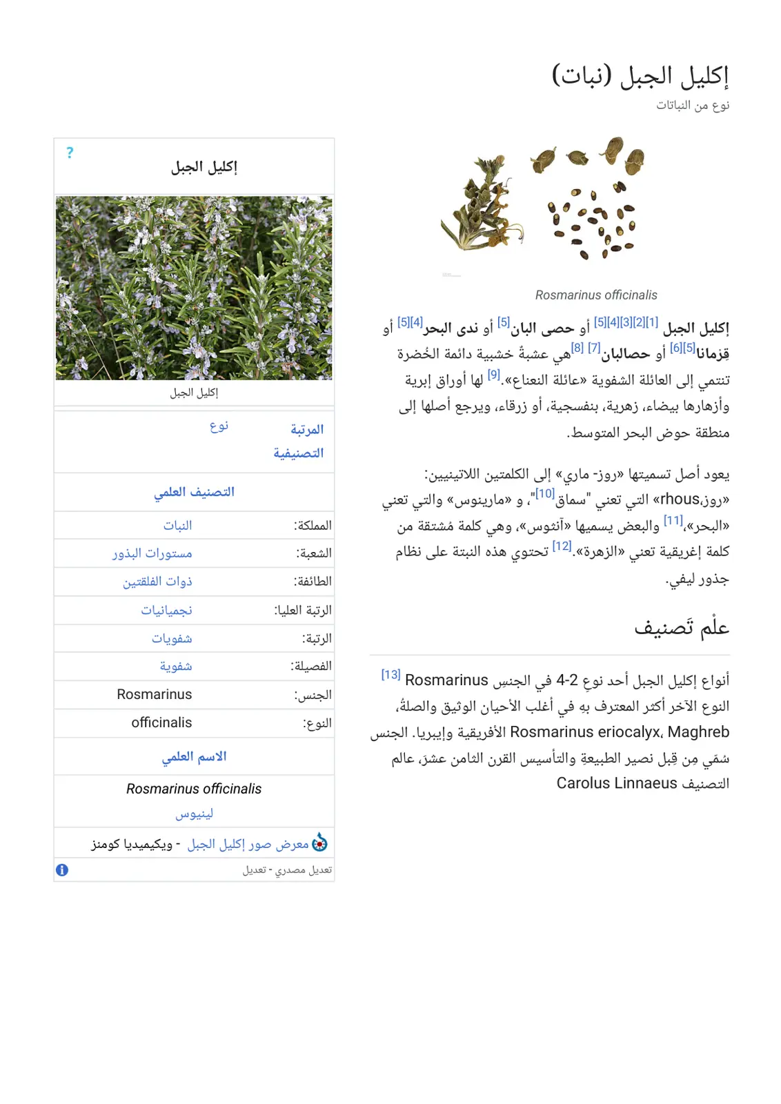 غلاف تقرير إكليل الجبل (نبات)
