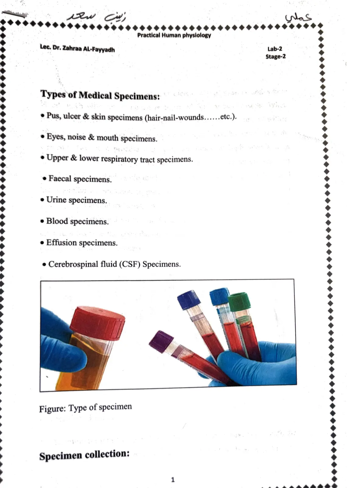غلاف تقرير Practical Human Physiology Lab-2