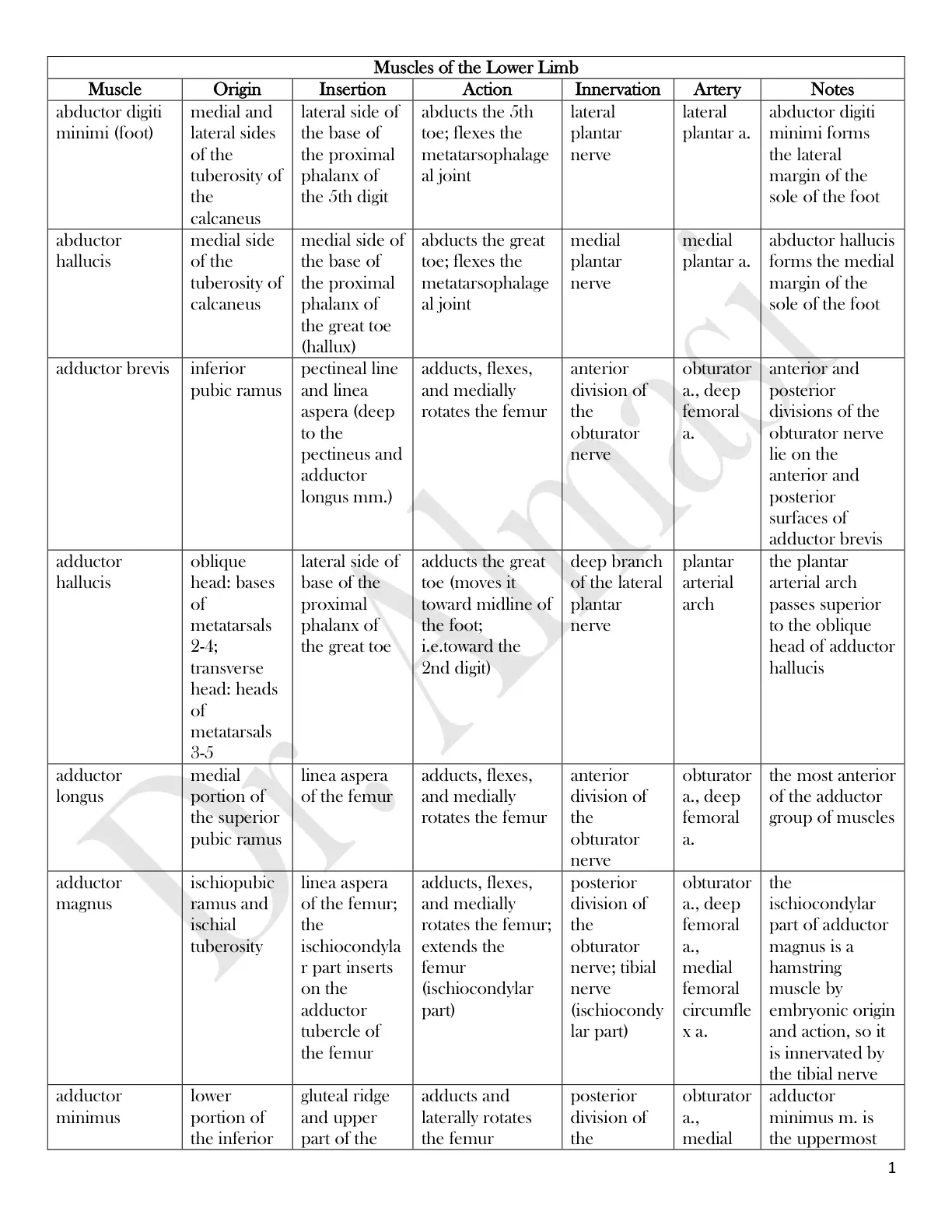 غلاف تقرير Muscles of the Lower Limb