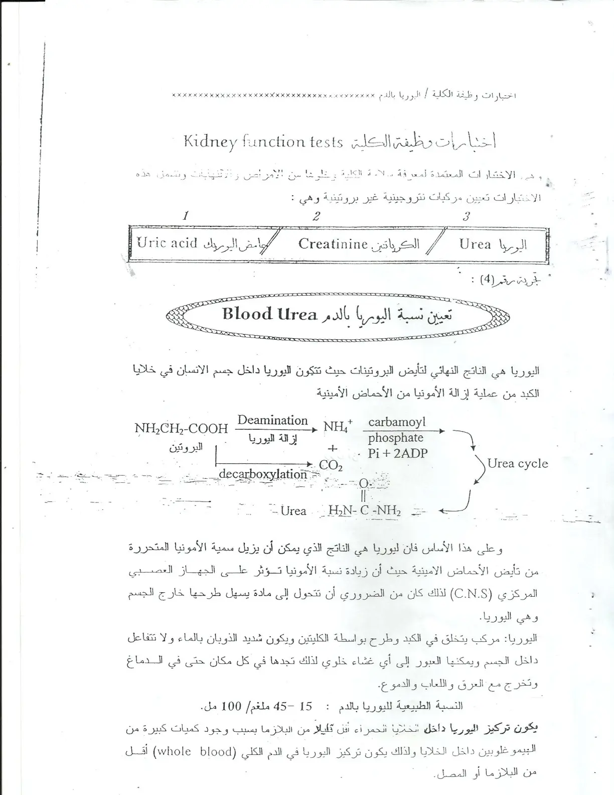 غلاف تقرير اختبارات وظيفة الكلية / اليوريا بالدم