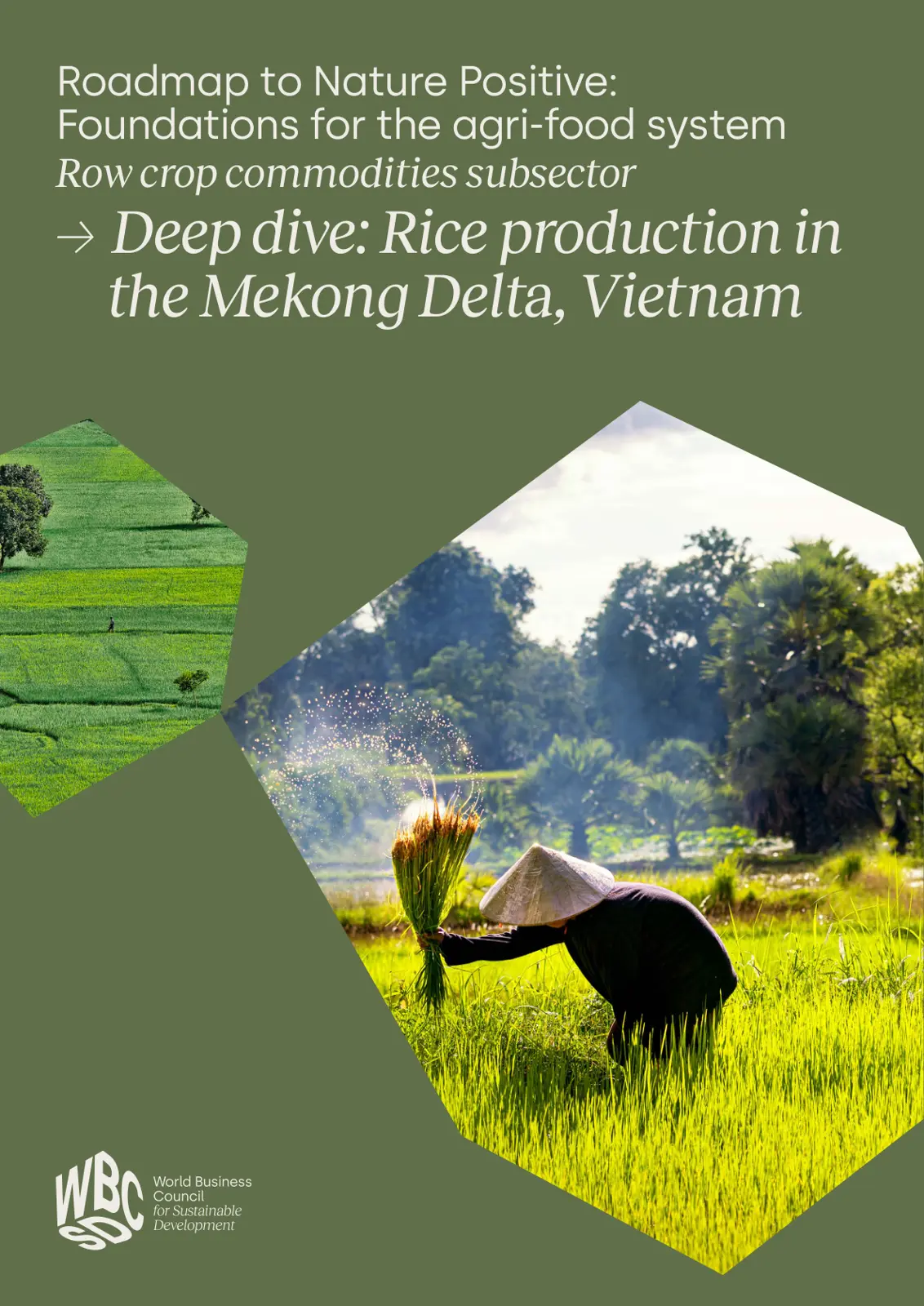 غلاف تقرير Roadmap to Nature Positive: Foundations for the agri-food system Row crop commodities subsector → Deep dive: Rice production in the Mekong Delta, Vietnam