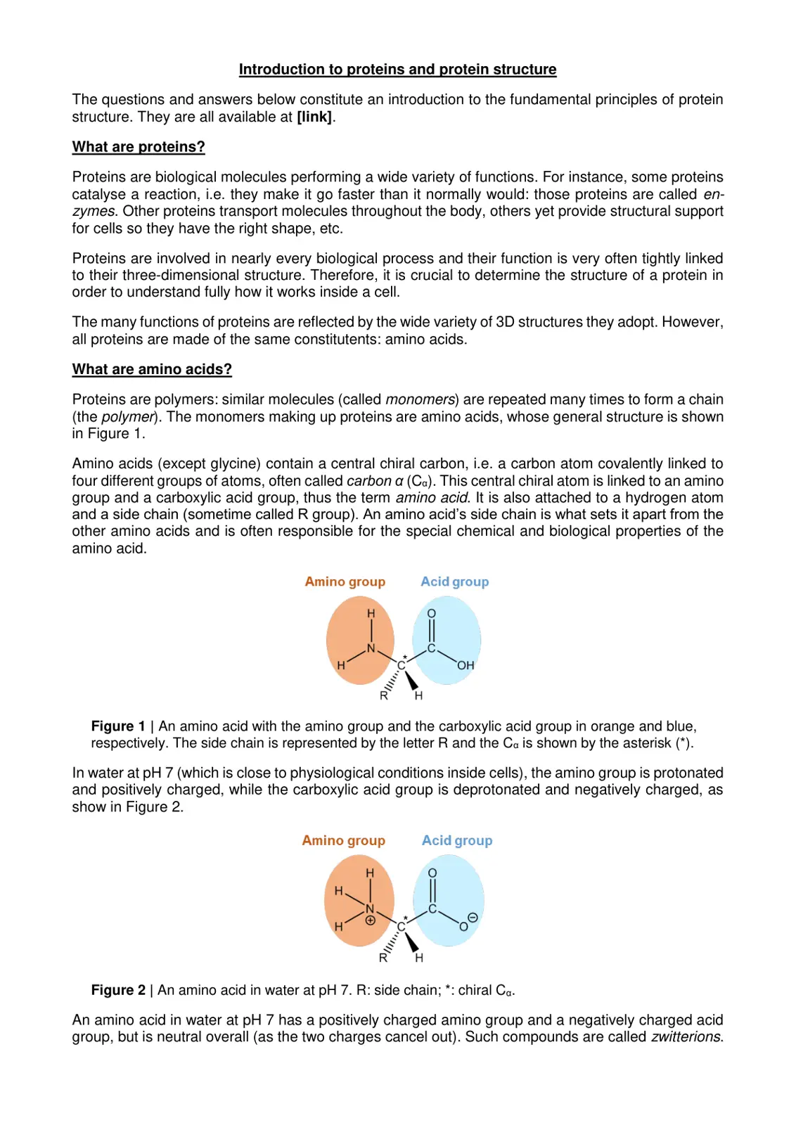 غلاف تقرير Introduction to proteins and protein structure